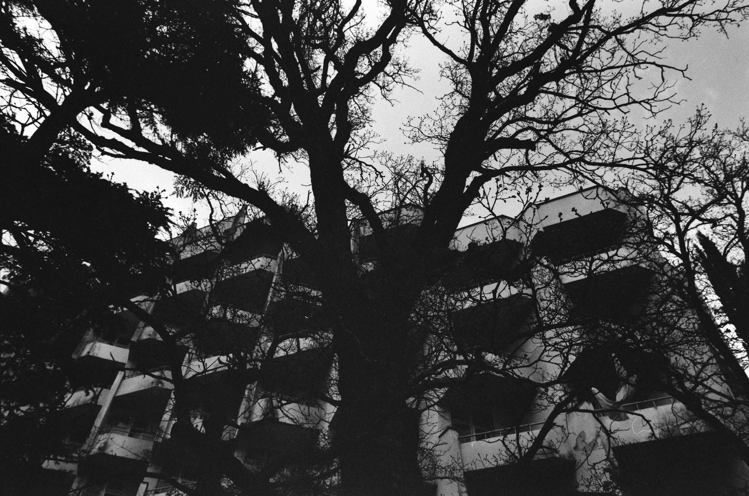 Oblomki chuvstv // ukraine, crimea. EVER EXPOSED