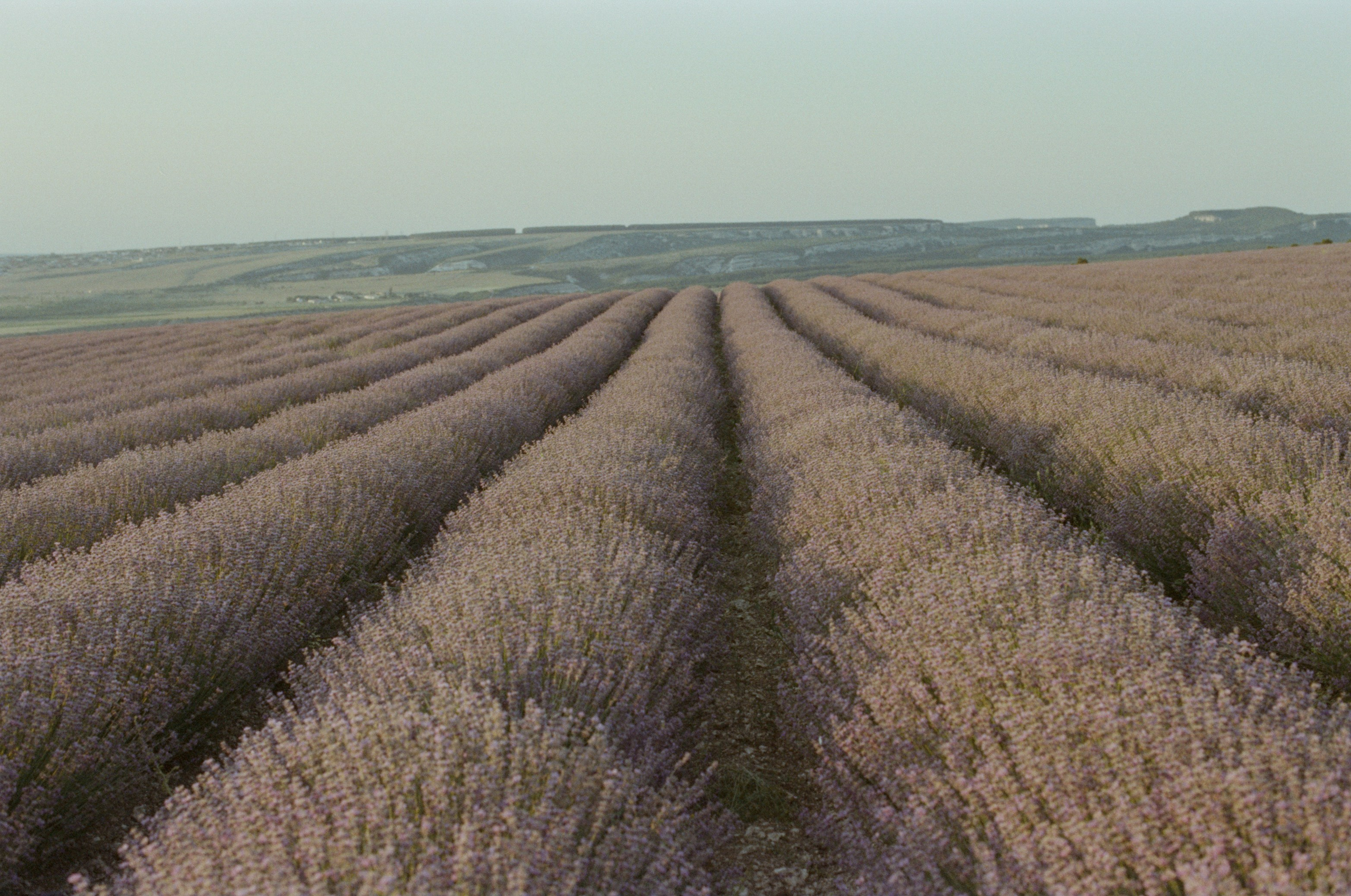 Silent running // ukraine, crimea V. EVER EXPOSED