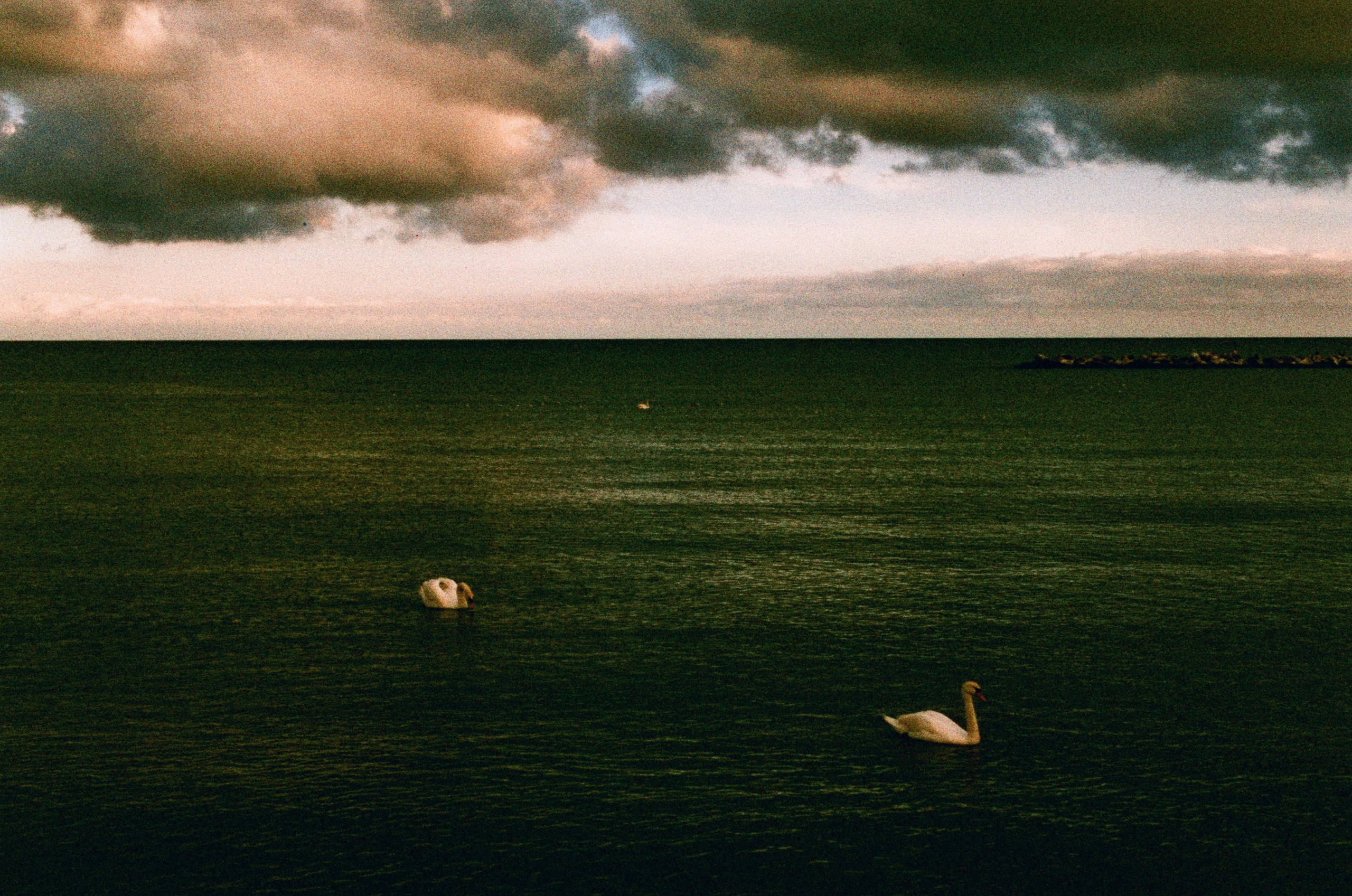 Press enter to exit // ukraine, crimea II. EVER EXPOSED