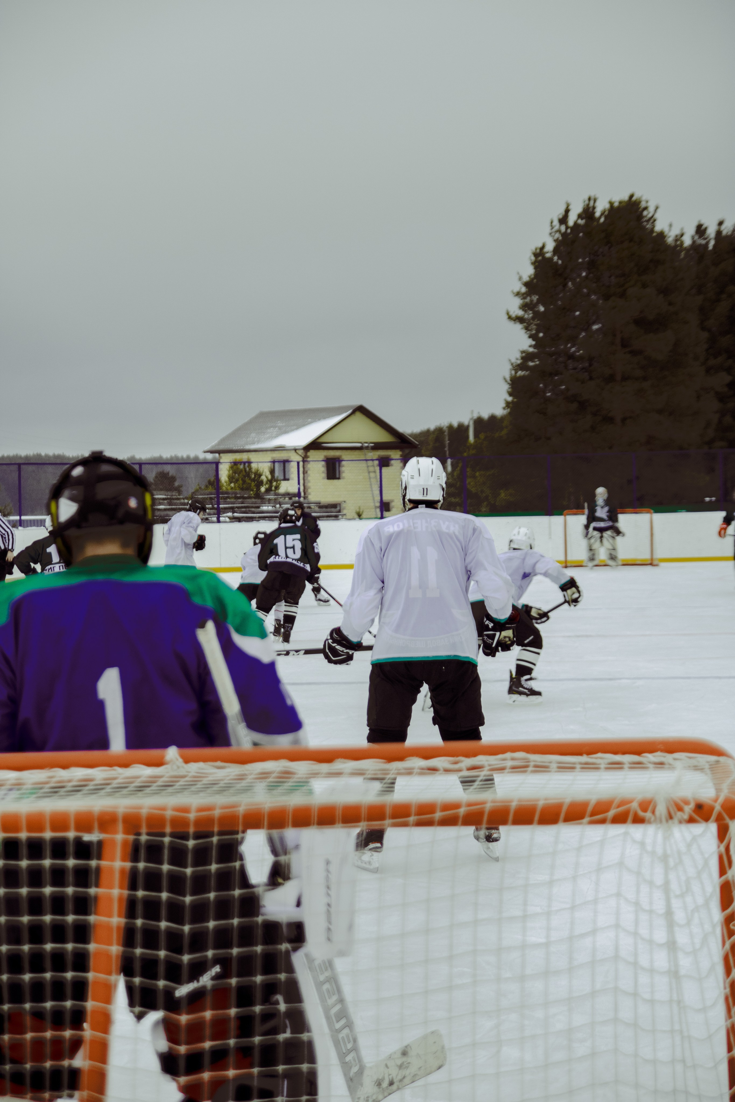 Хоккей 29.12.2024