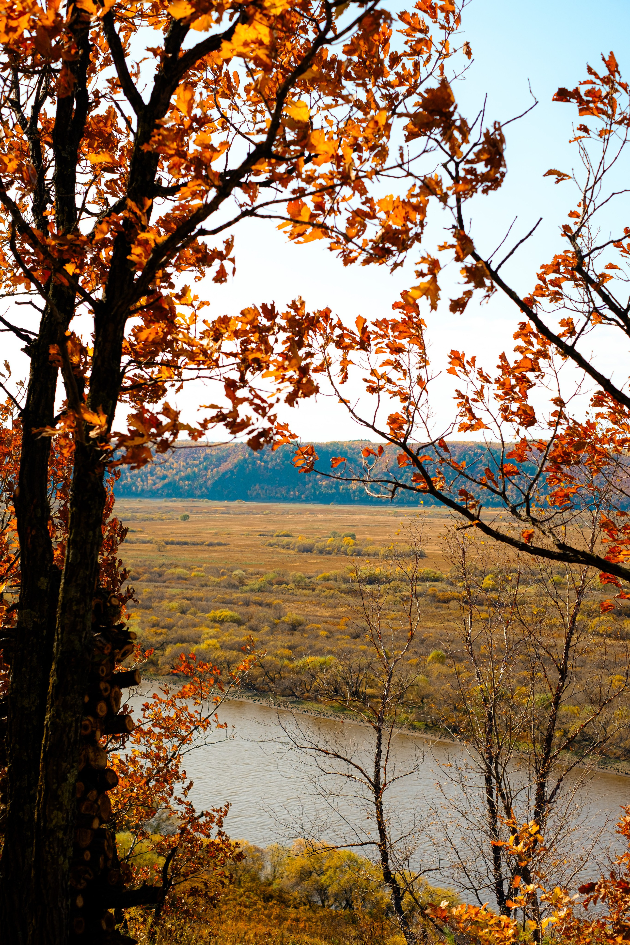Михайловские столбы осенью. Фотограф Благовещенска Яна