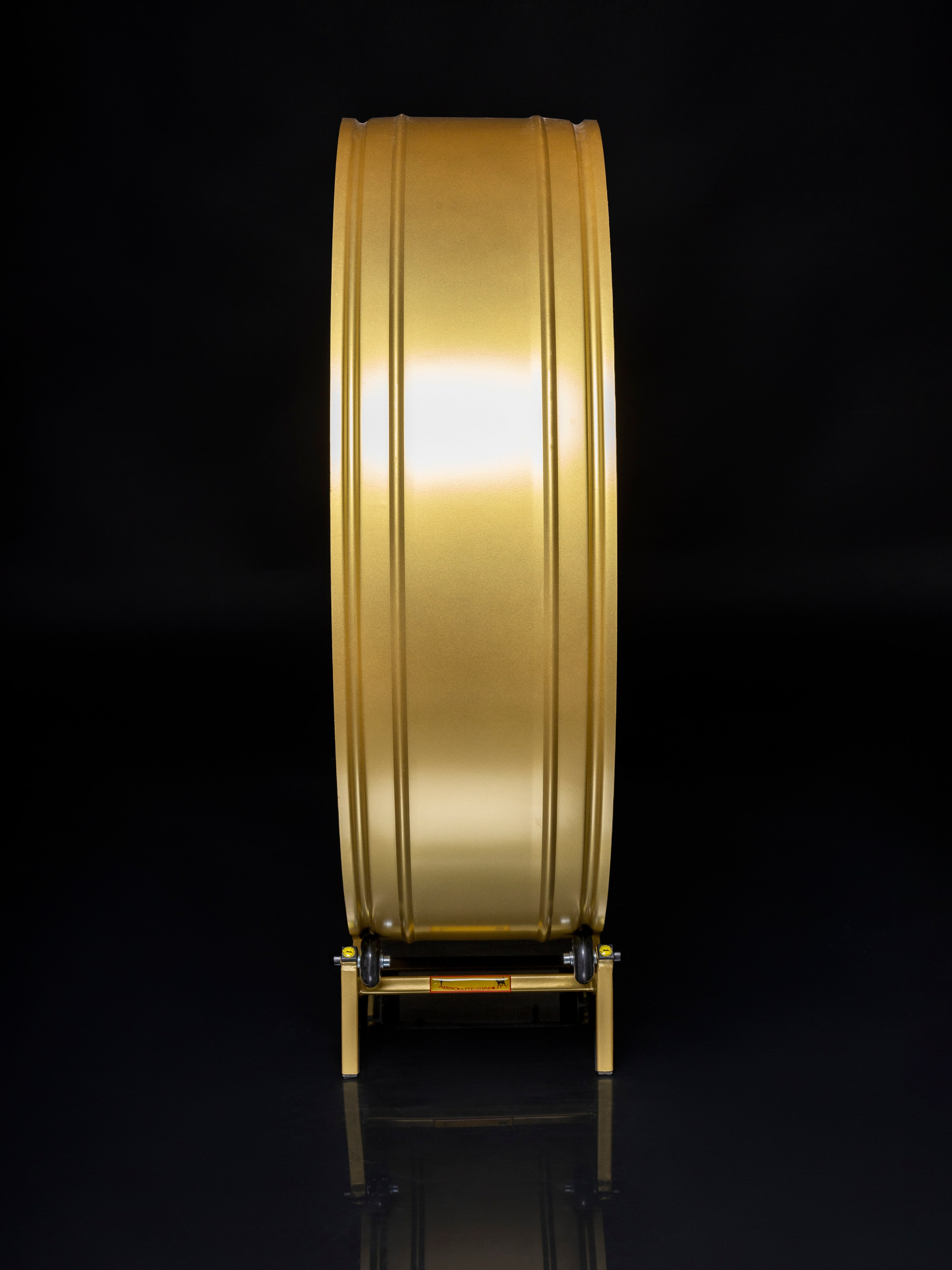 Беговая дорожка для кошки. Фотограф в Туле Крупский АнДРей. Фотостудия «КАДР71» в Туле