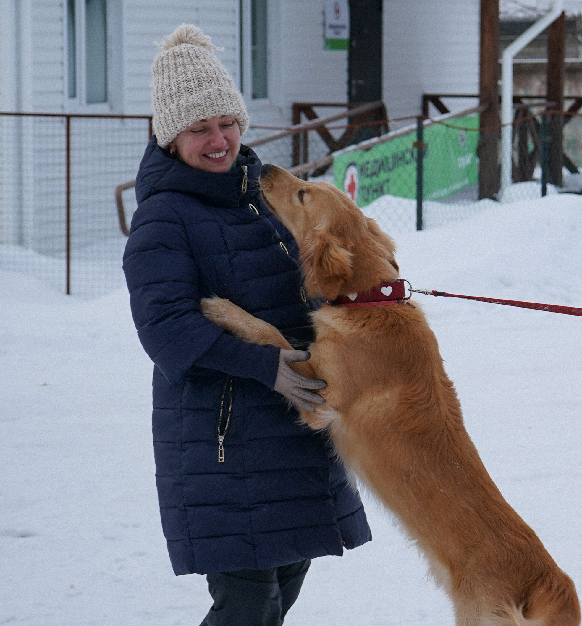 Фотосессии Пушистиков. Фотограф в Санкт-Петербурге Виктория Барышникова