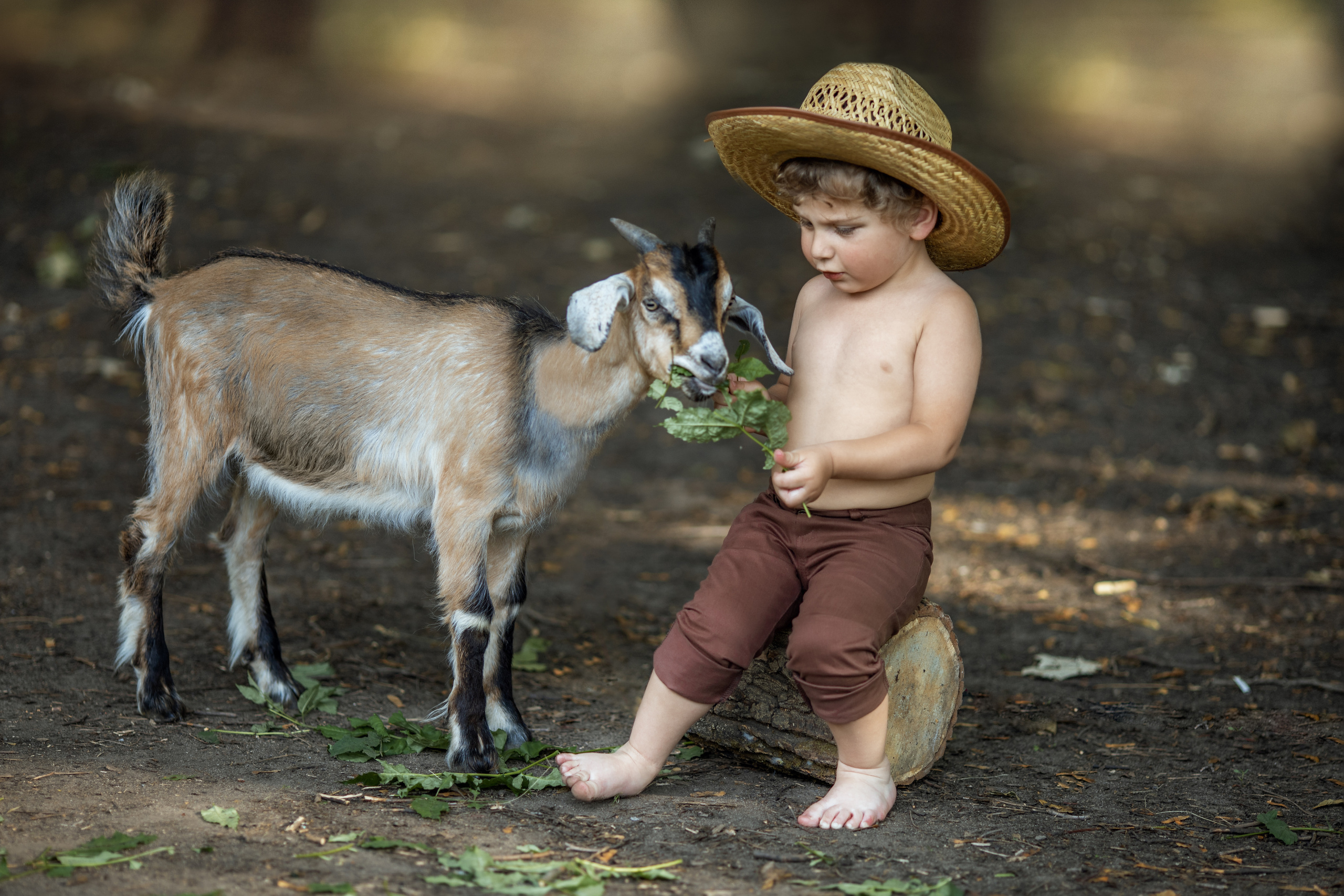 Постановочная фотография. Семейный и детский фотограф Леонова Анна