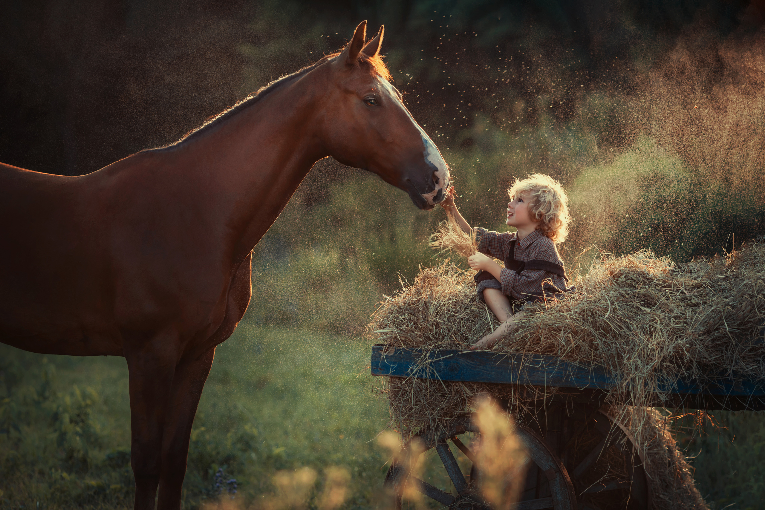 Постановочная фотография. Семейный и детский фотограф Леонова Анна