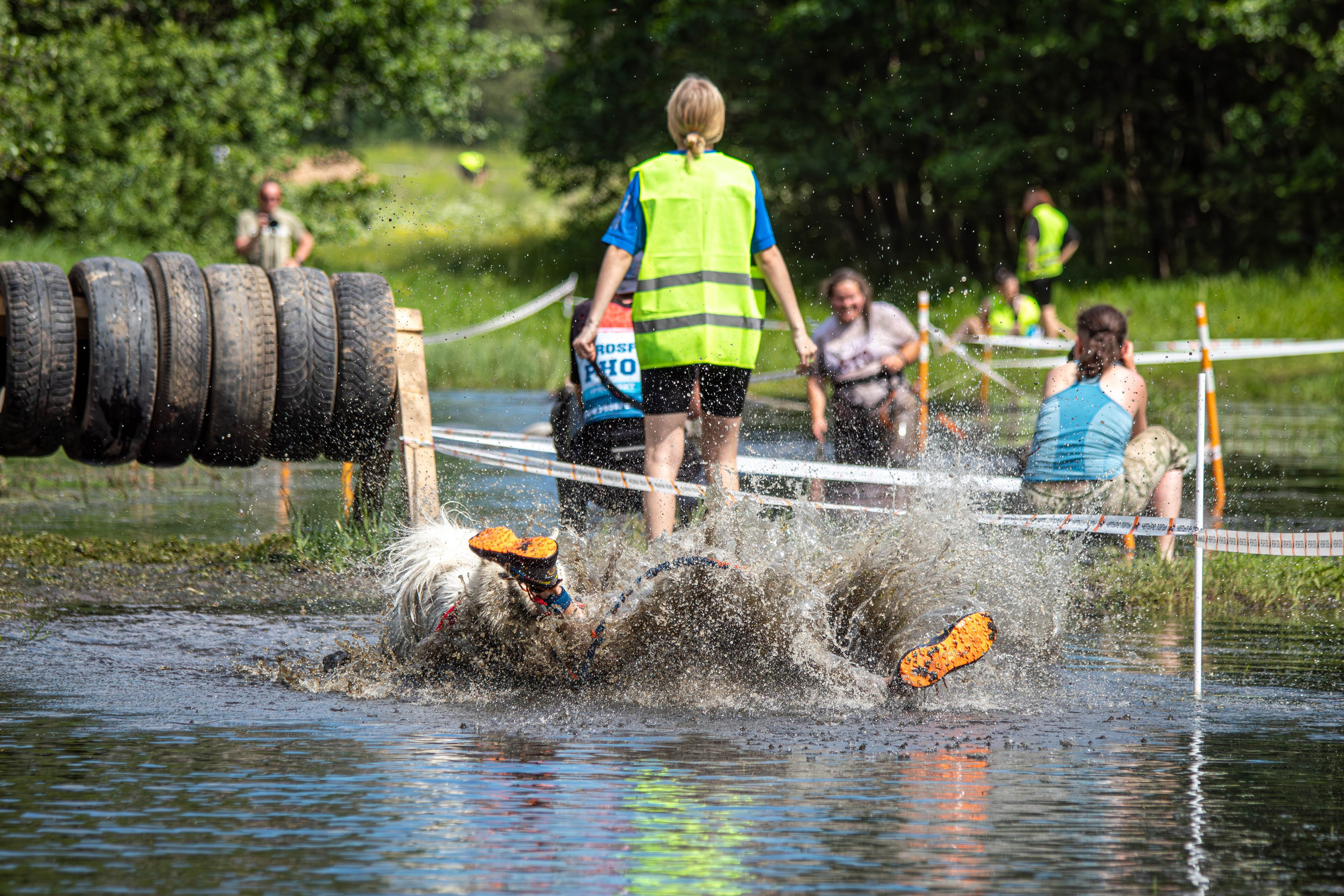 Хвостатый Драйв 2024. Фотограф анималист — Тула, Москва