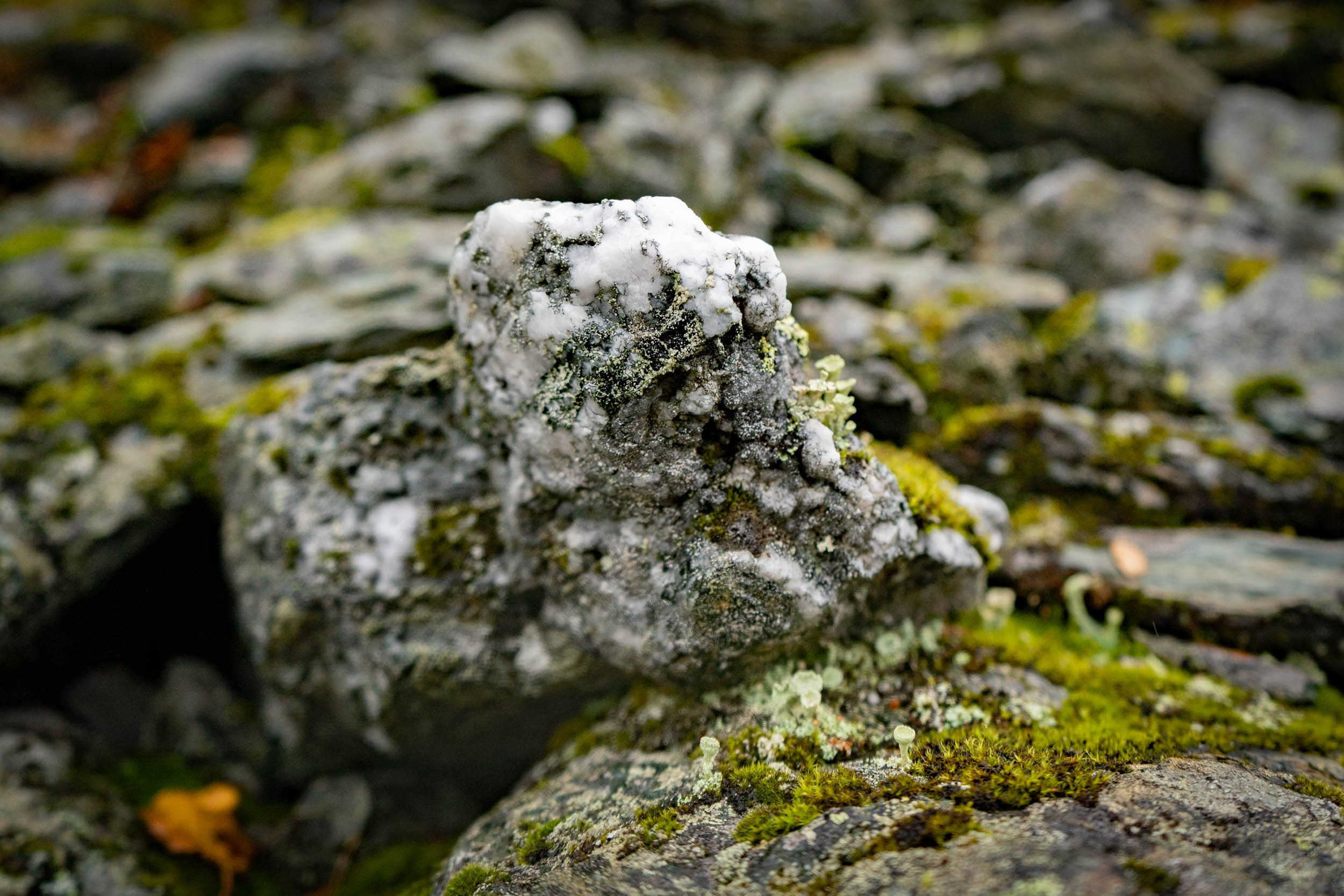 Уборка перрона п.Полярный, станция «110 км». Фотограф Екатерина Зорина