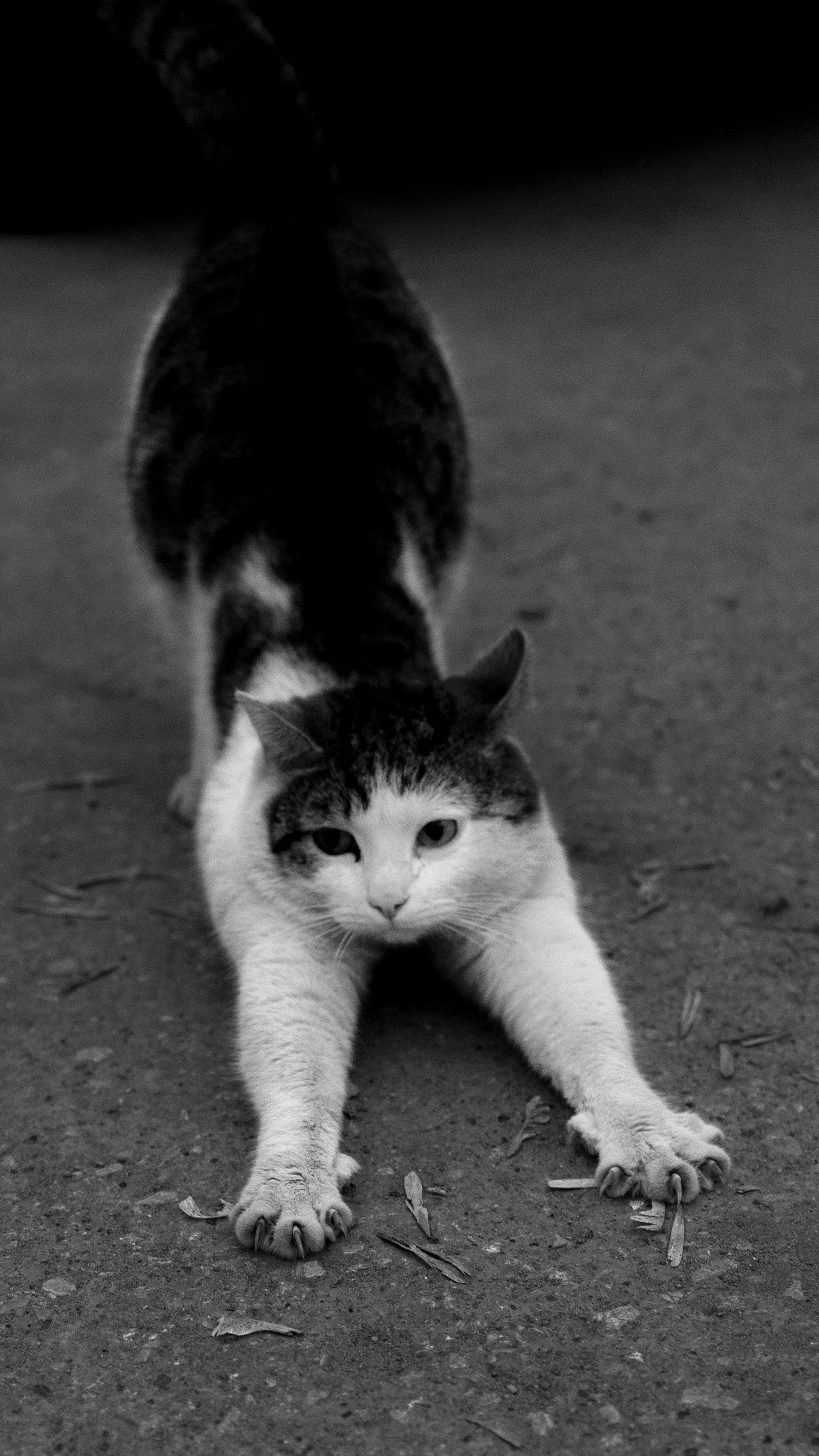Love story. Фотограф в Самаре Женя Шулепова
