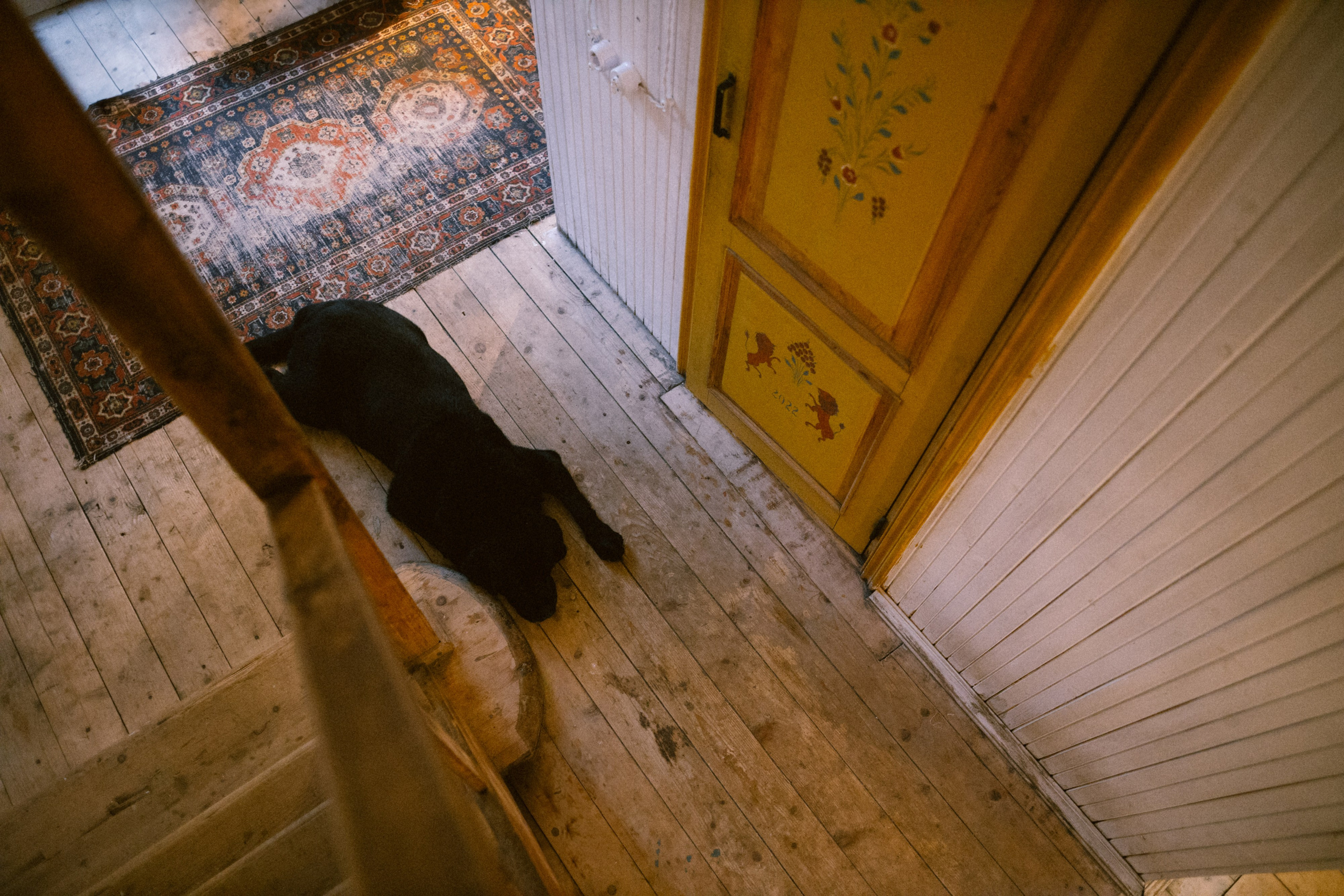 Сказочный ларец. Варвара Синицына: семейный фотограф в Москве