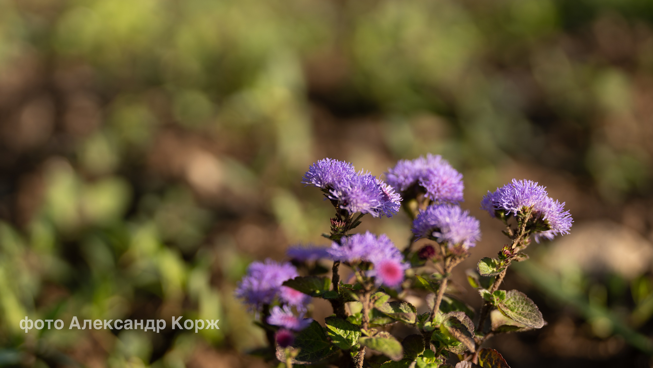 Фотографии Северного поселка Айхал. Фотографии и видеосъемка, Айхал, Удачный, Якутия. Фотографии Айхал
