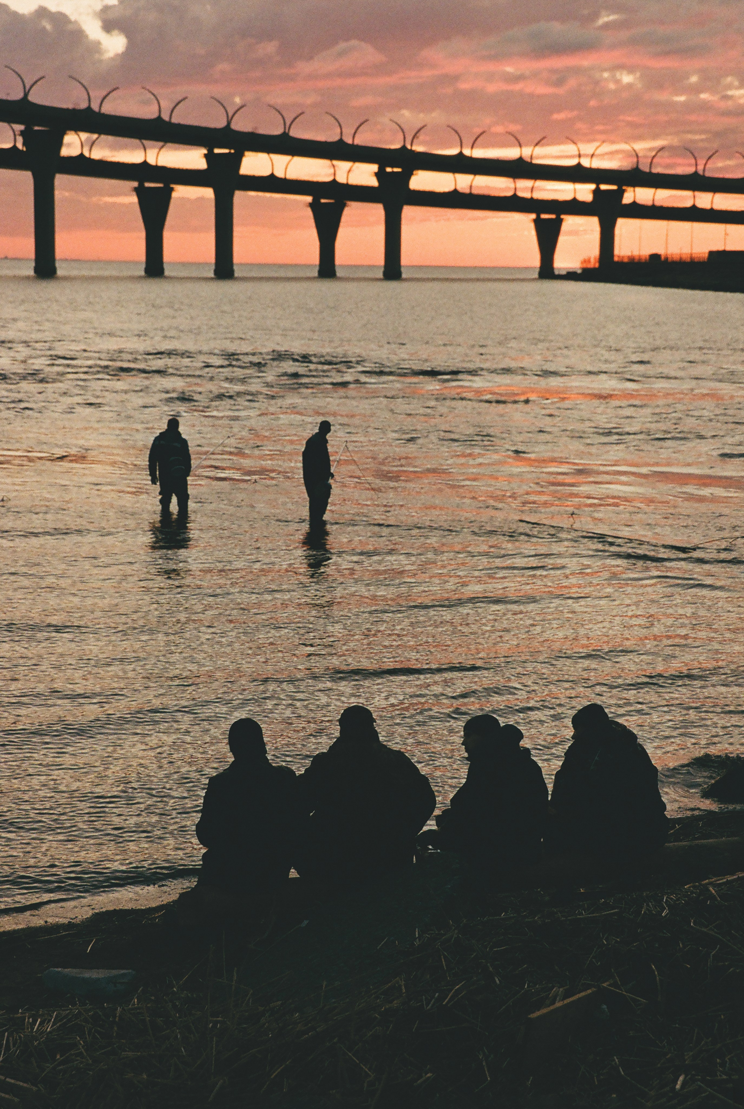 Фотографии цветные. Свадебный и семейный пленочный фотограф в Петербурге Истомина Ирина
