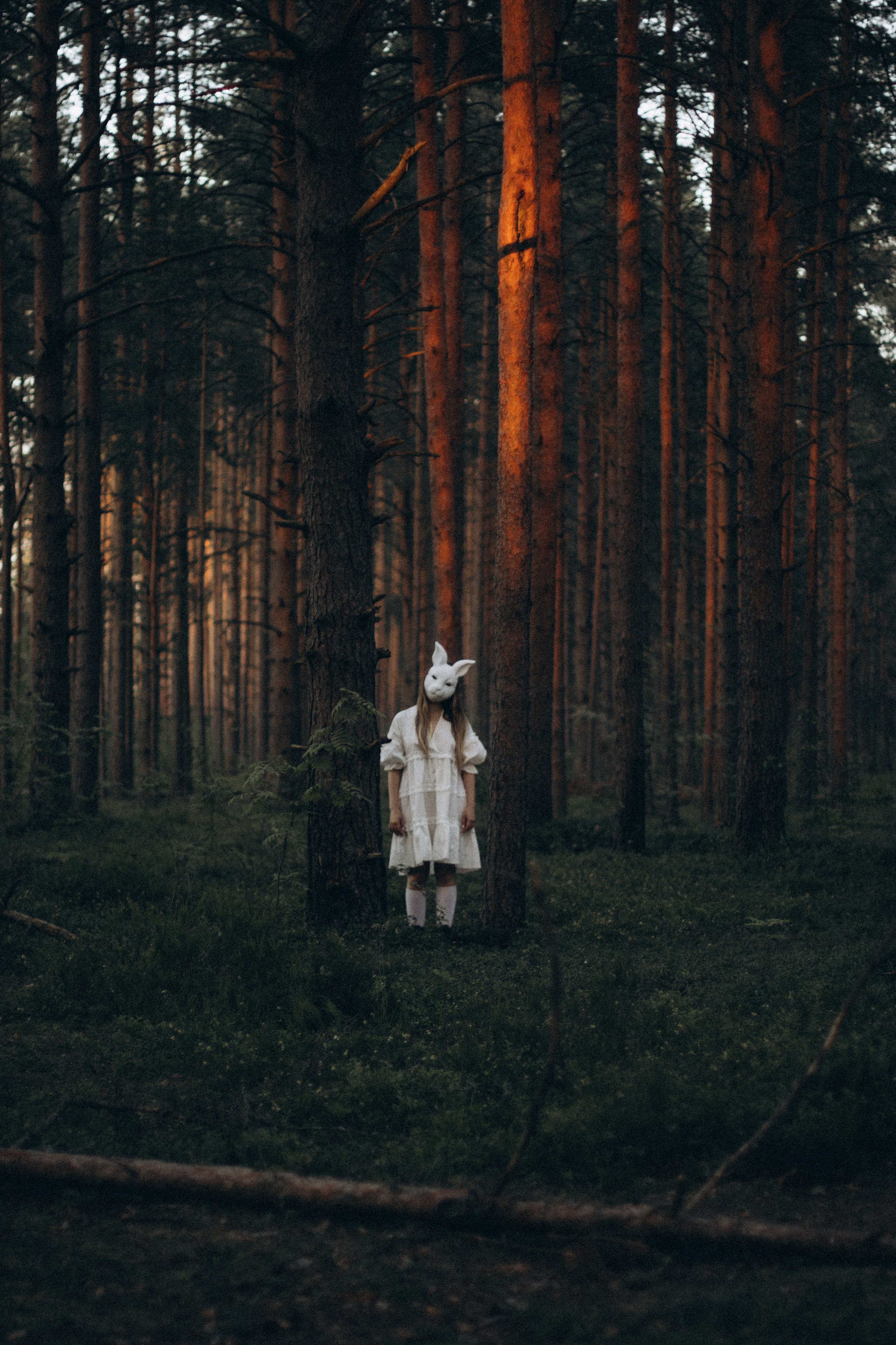 Контакты. Портретный и уличный фотограф в Санкт-Петербурге Сергей Кутьин