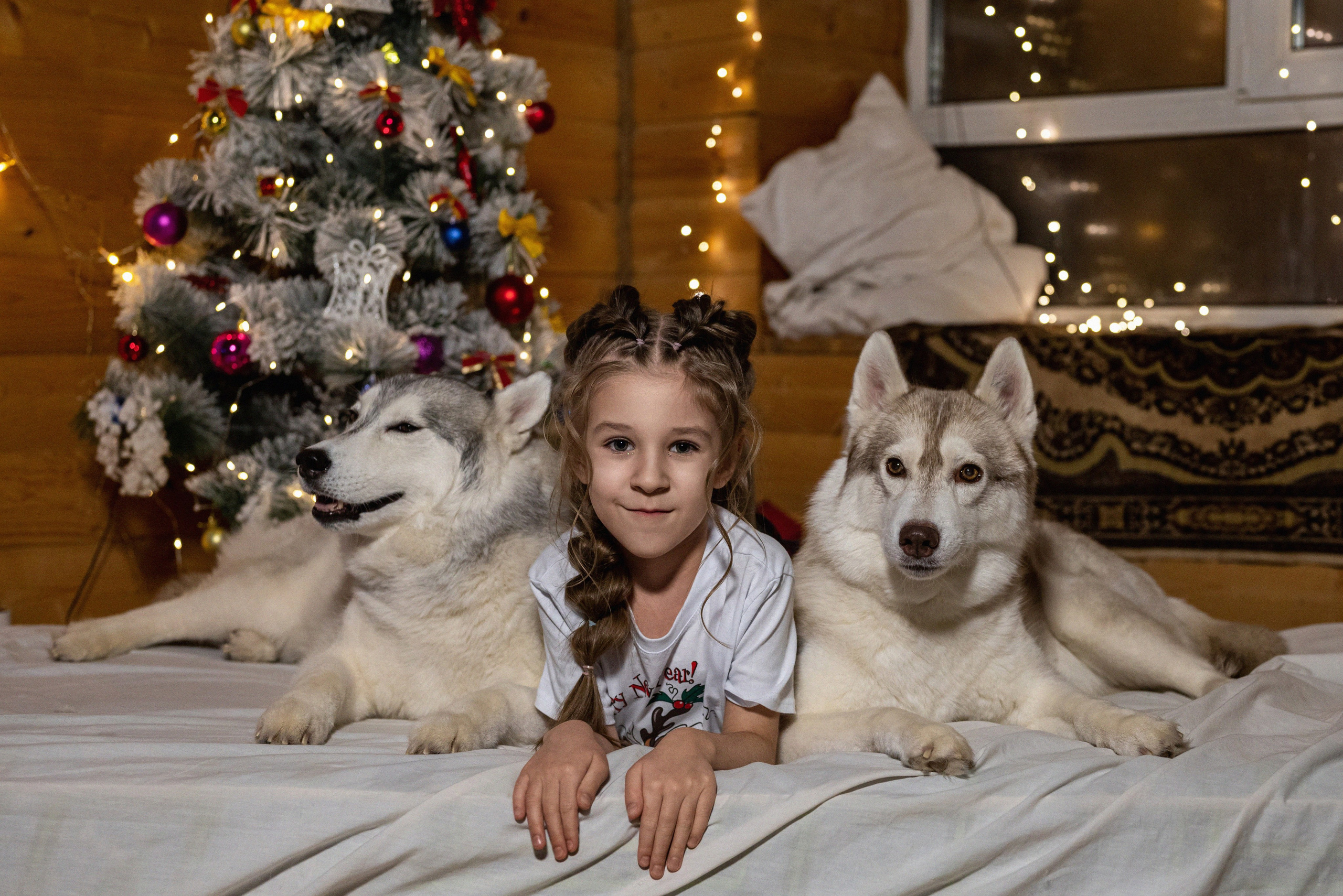 Фотопроект с хаски 2024 г. Фотограф в городе Салават