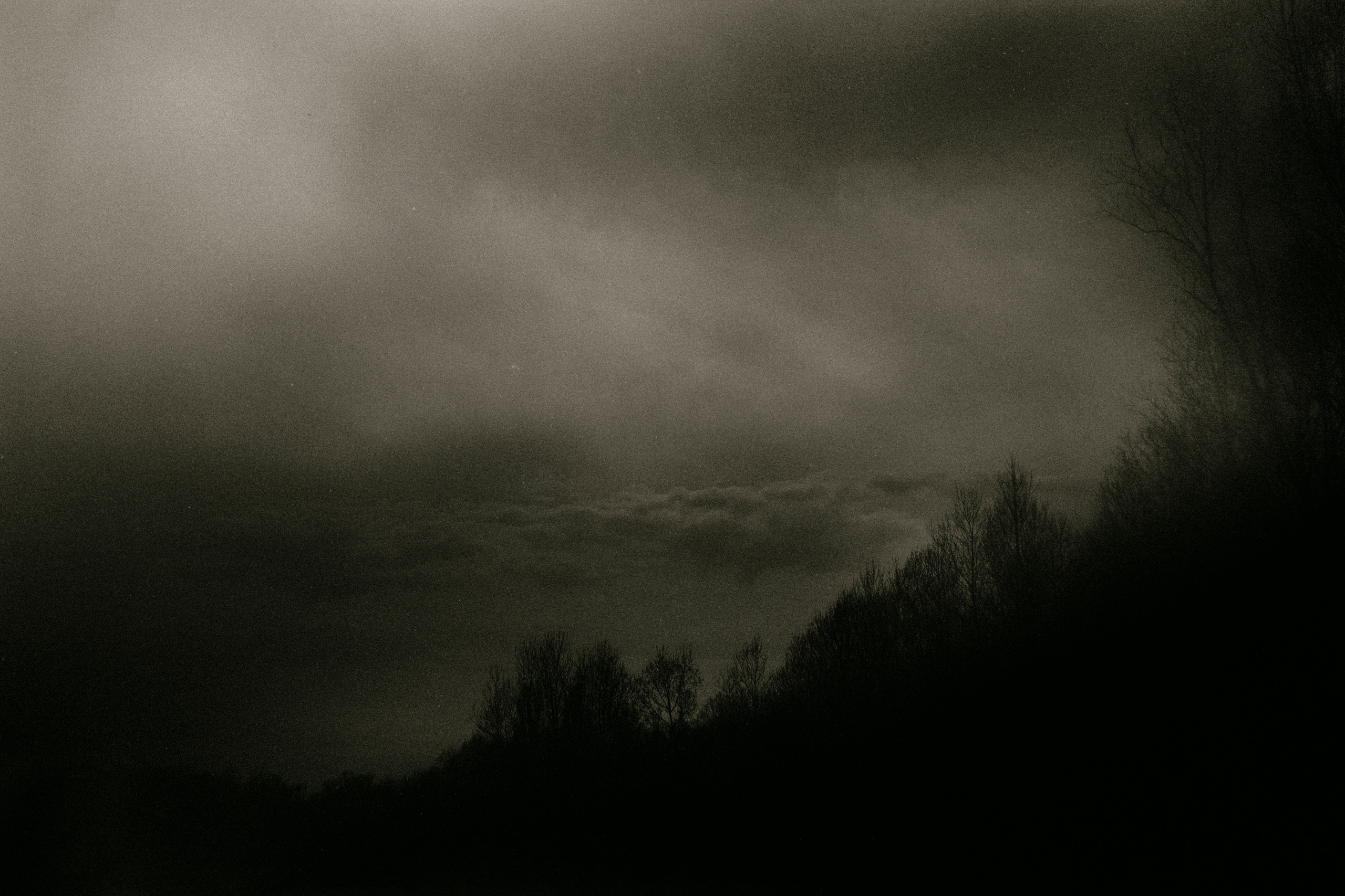 Child of the forest. Visual artist