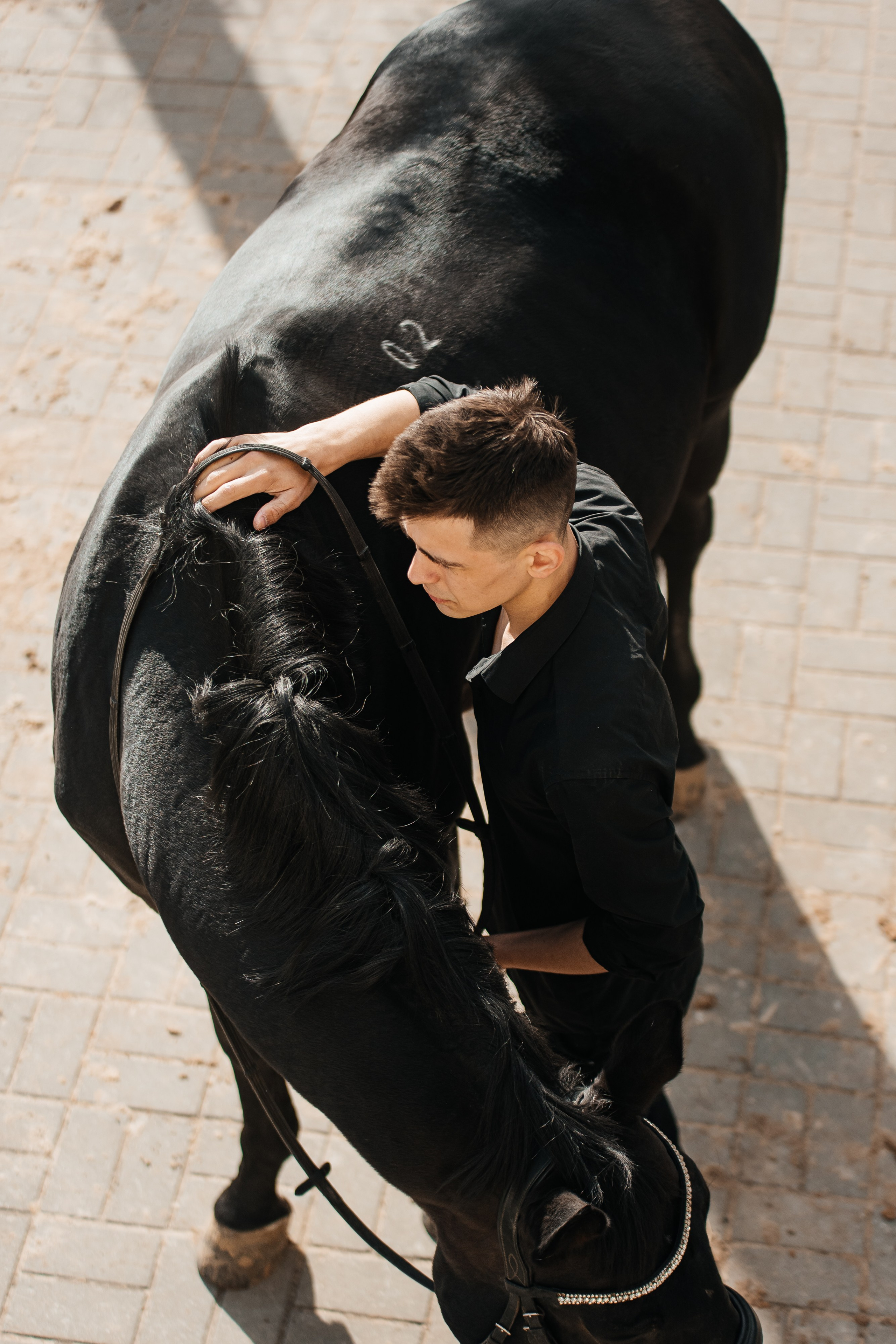 Фотосессии с лошадьми. Фотограф Рязань