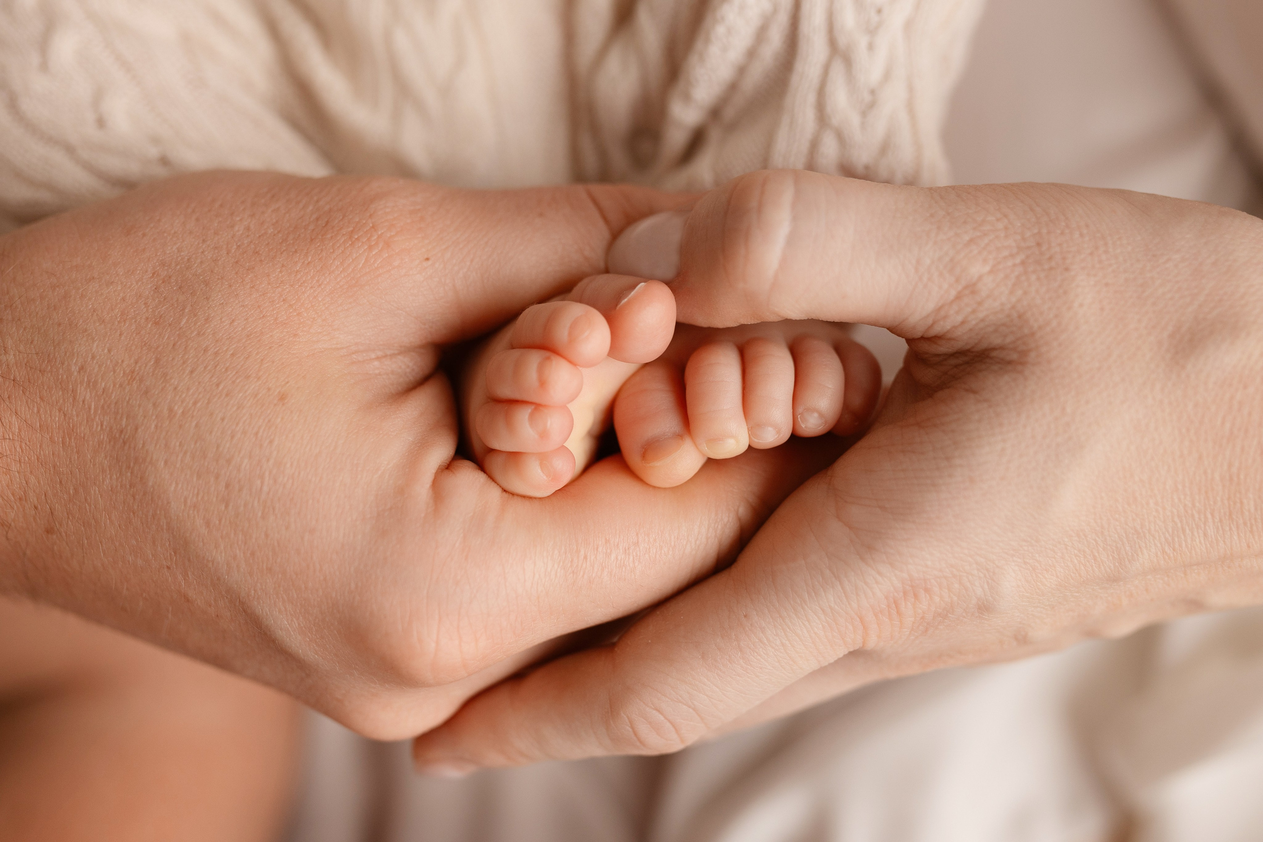 Лев. Лилия Алтухова — фотограф новорожденных в Москве и области