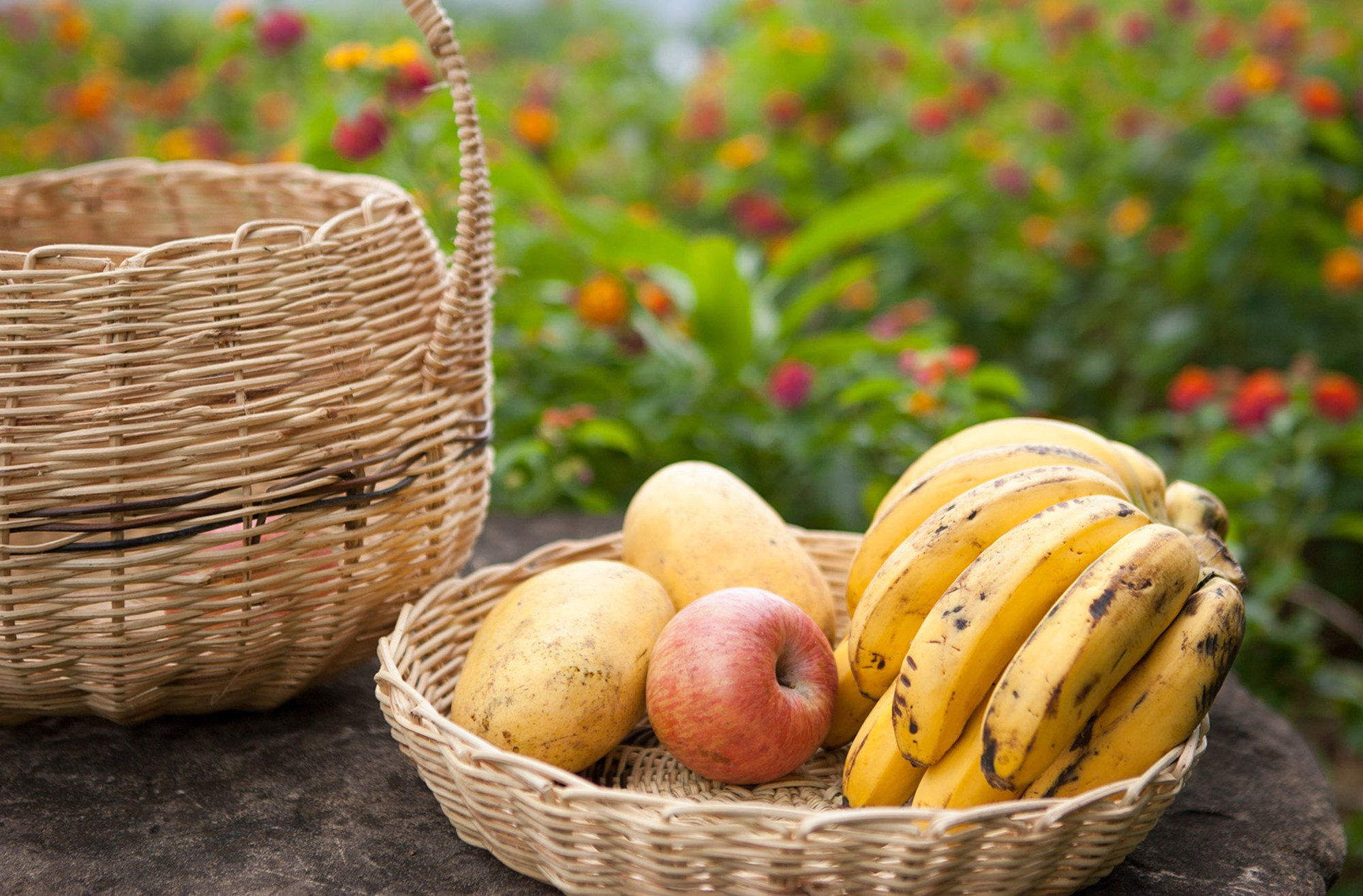 Фото и видео съемка мероприятия. Фото и видеосъемка