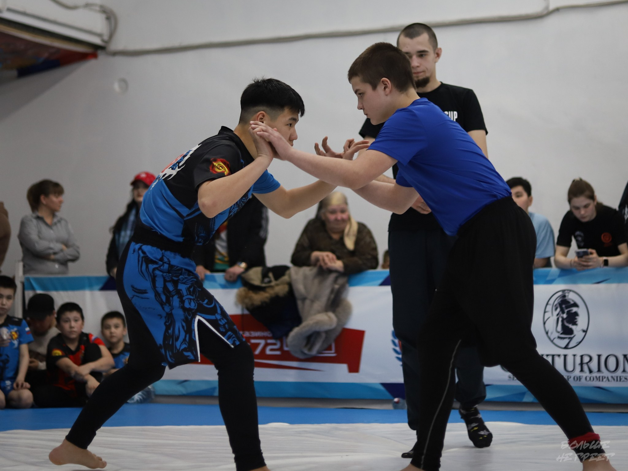 GORILLA PRIDE CUP. Больше не греет