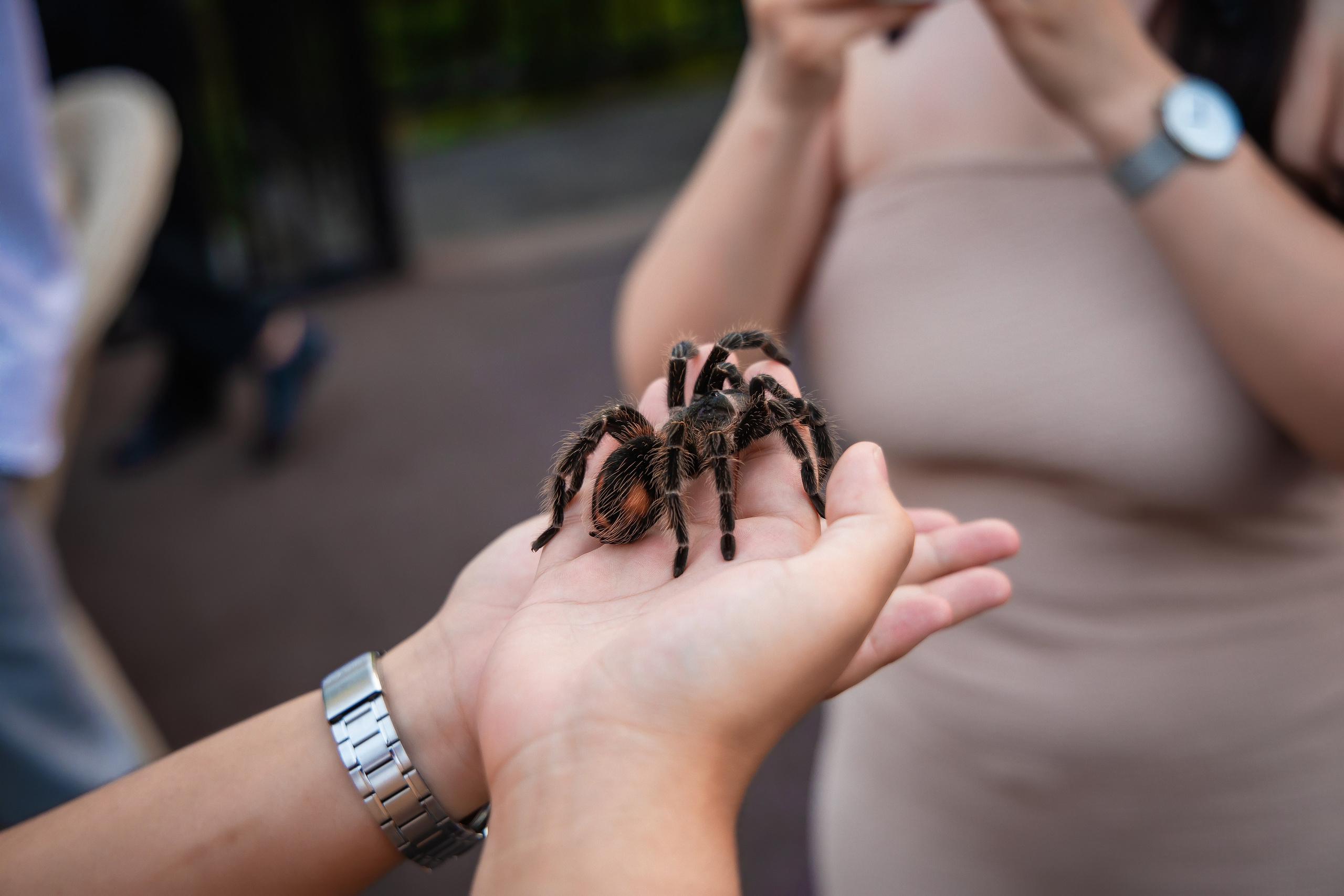 Настя и Ильдар Астана. Семейный и Свадебный фотограф в Астане Александр Астапов