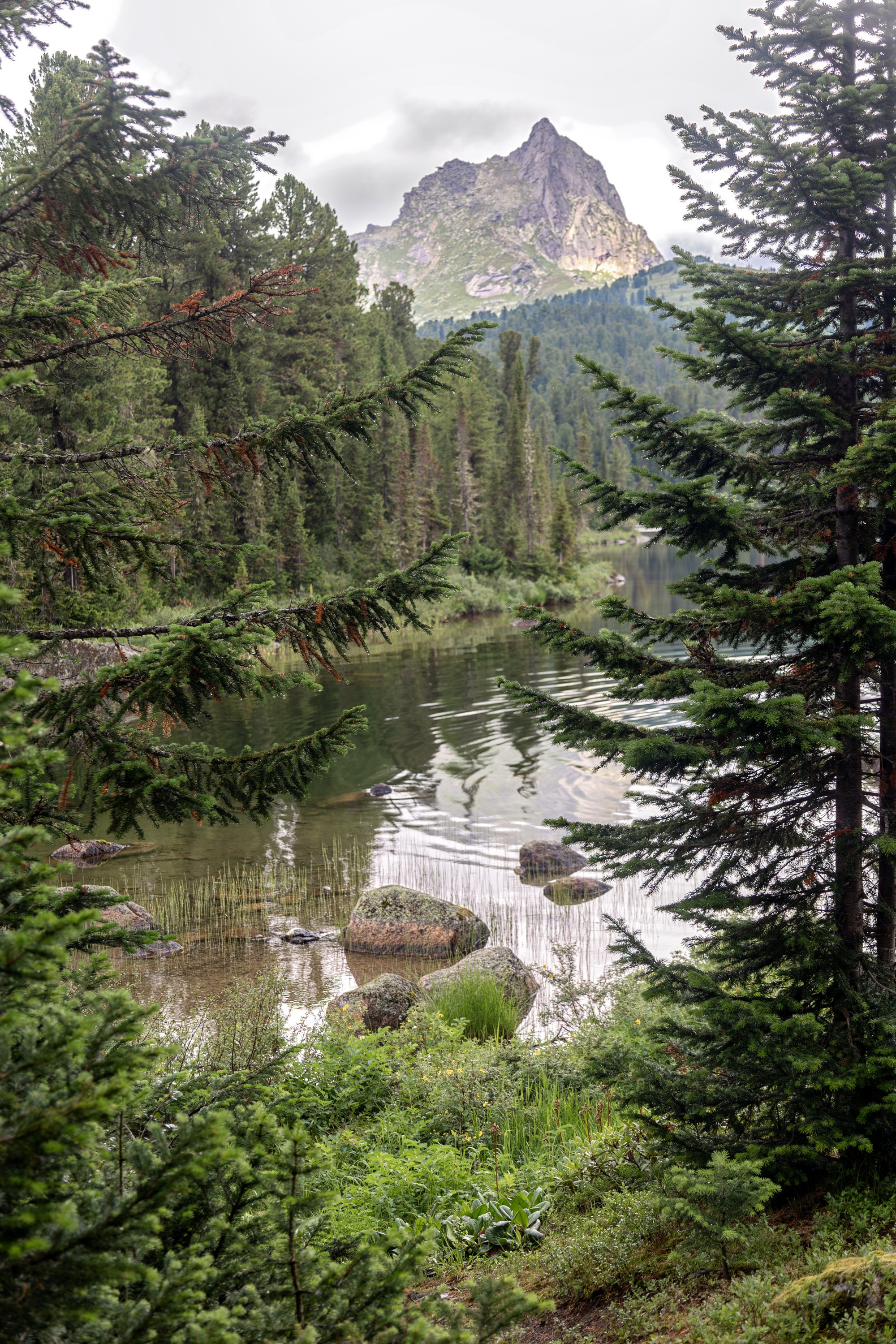 Ергаки. Семейный и детский фотограф в Красноярске, Дивногорцева Светлана