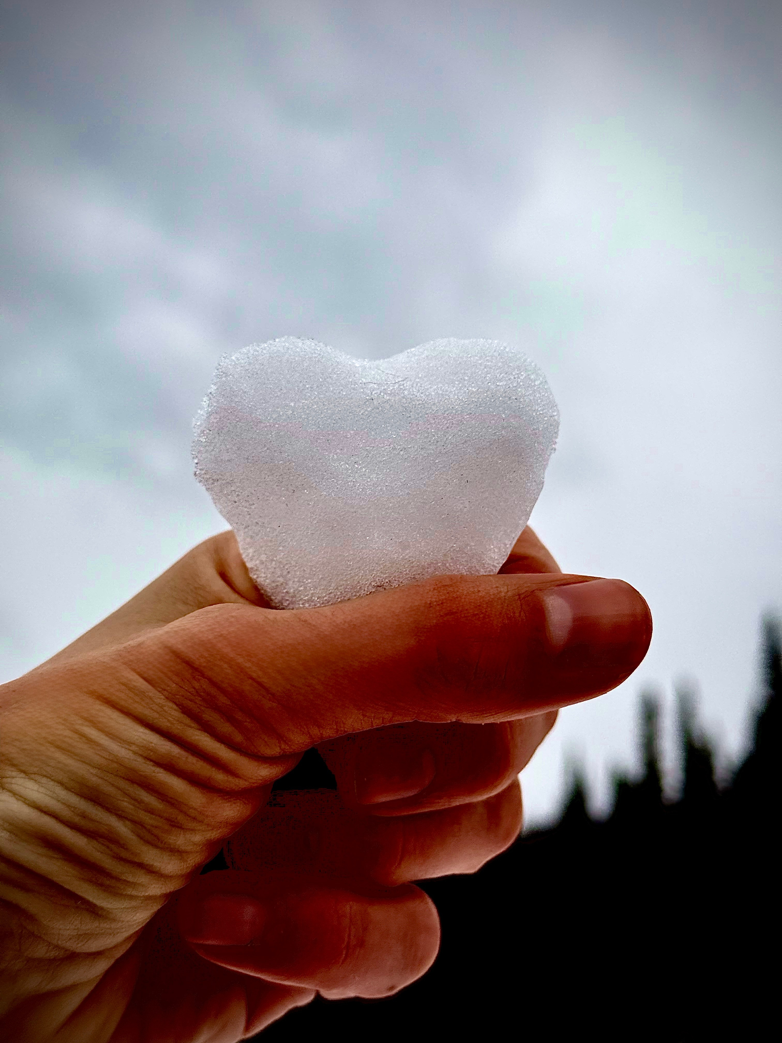 Фотограф Москва. Фотограф и художник в Москве Евгения Нюнина