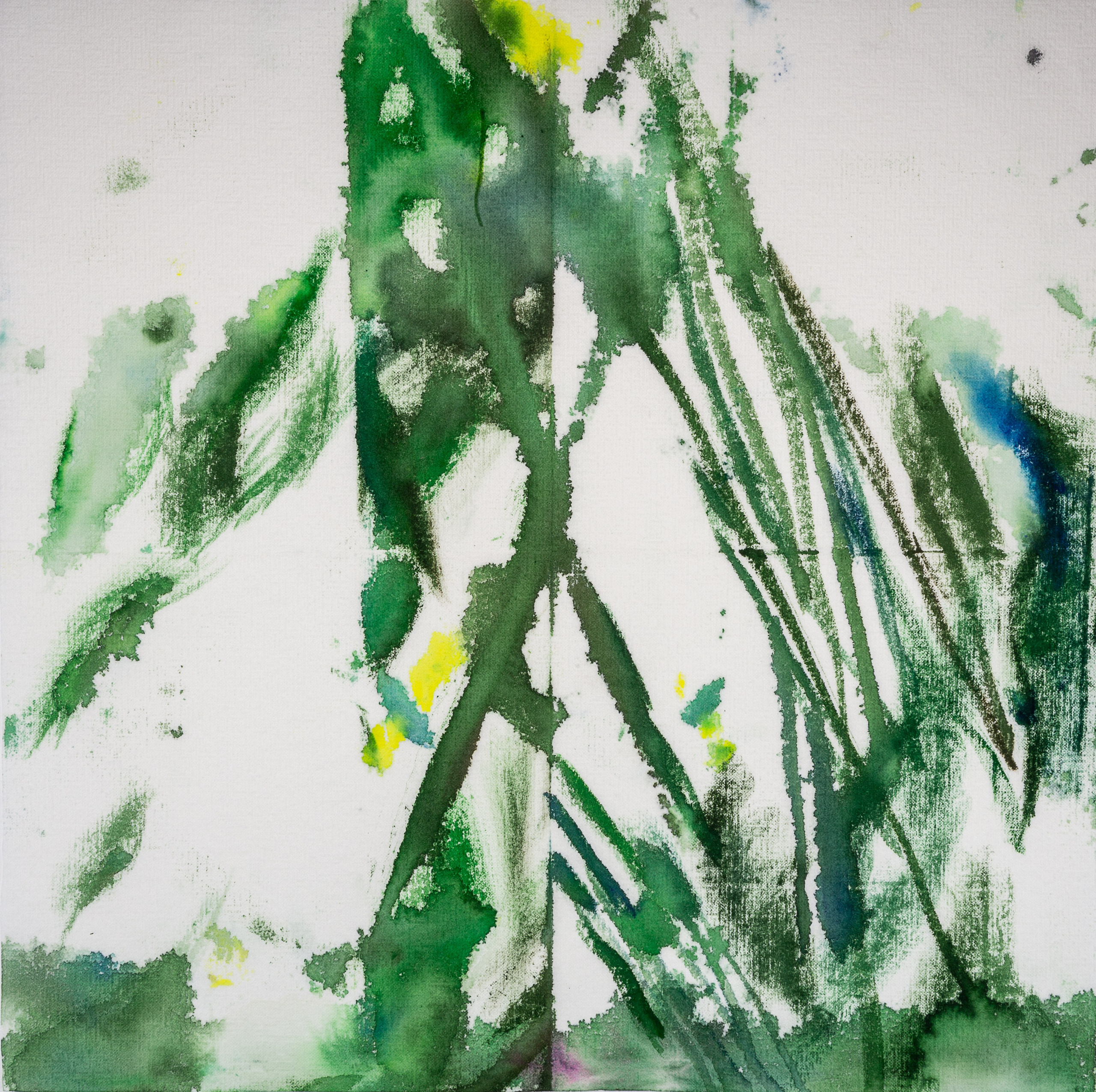 Аня Ким — Дикий сад