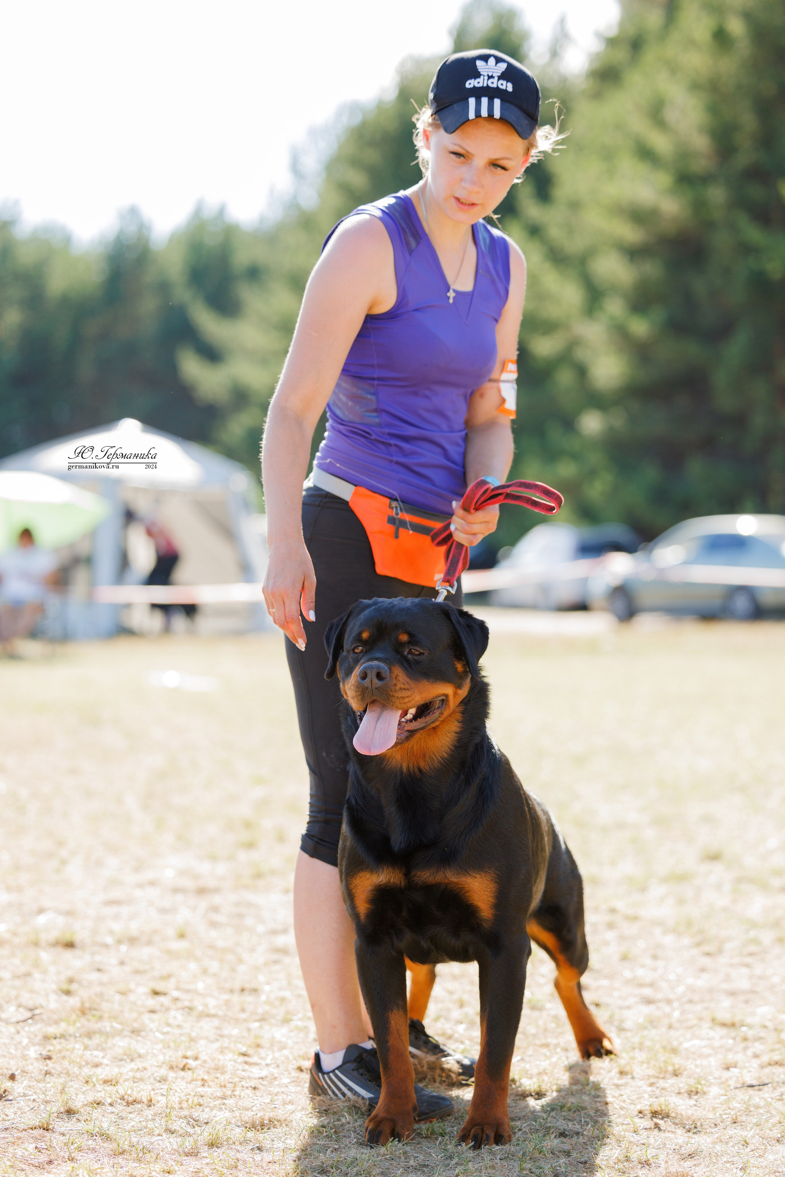 ПК и КЧК ротвейлеры Тверь 6-7.07.2024. Фотограф-анималист Юлия Германика