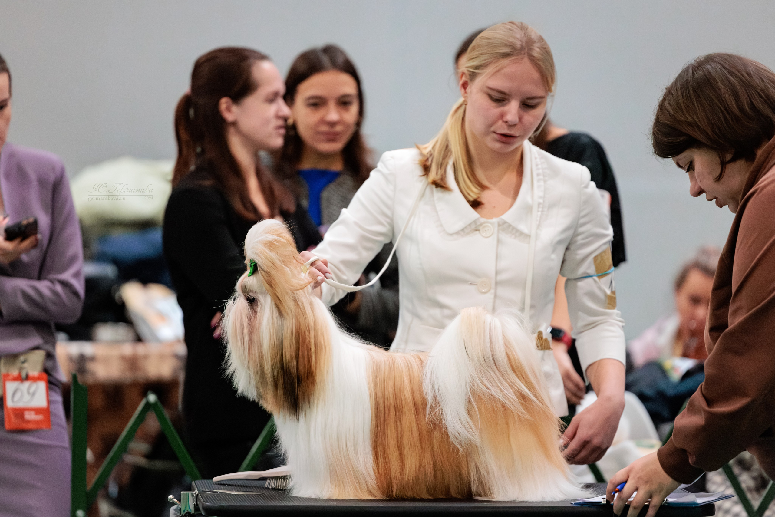 Крокус 21.12.2024,Сфера 29.12.2024. Фотограф-анималист Юлия Германика