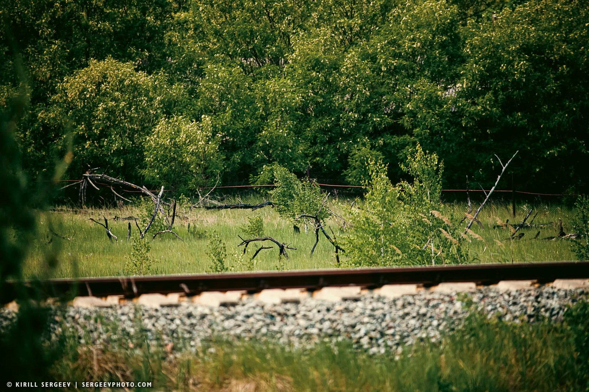 40 лет аварии на ЧАЭС. Поездка в зону отчуждения. 攝影師 基里爾·謝爾蓋耶夫 |莫斯科