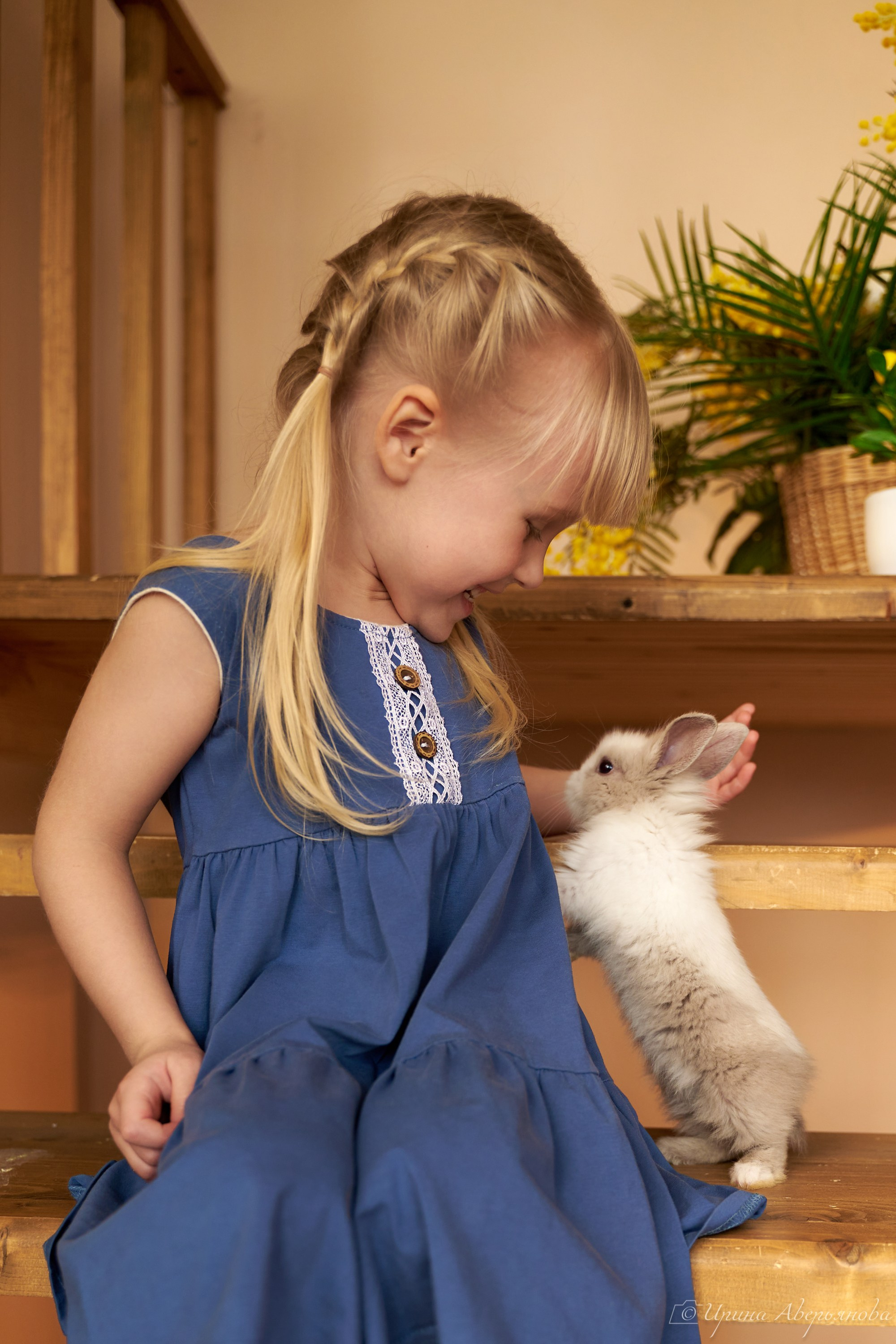 Фотопроект с декоративными кроликами. Фотограф в Ульяновске Ирина Аверьянова