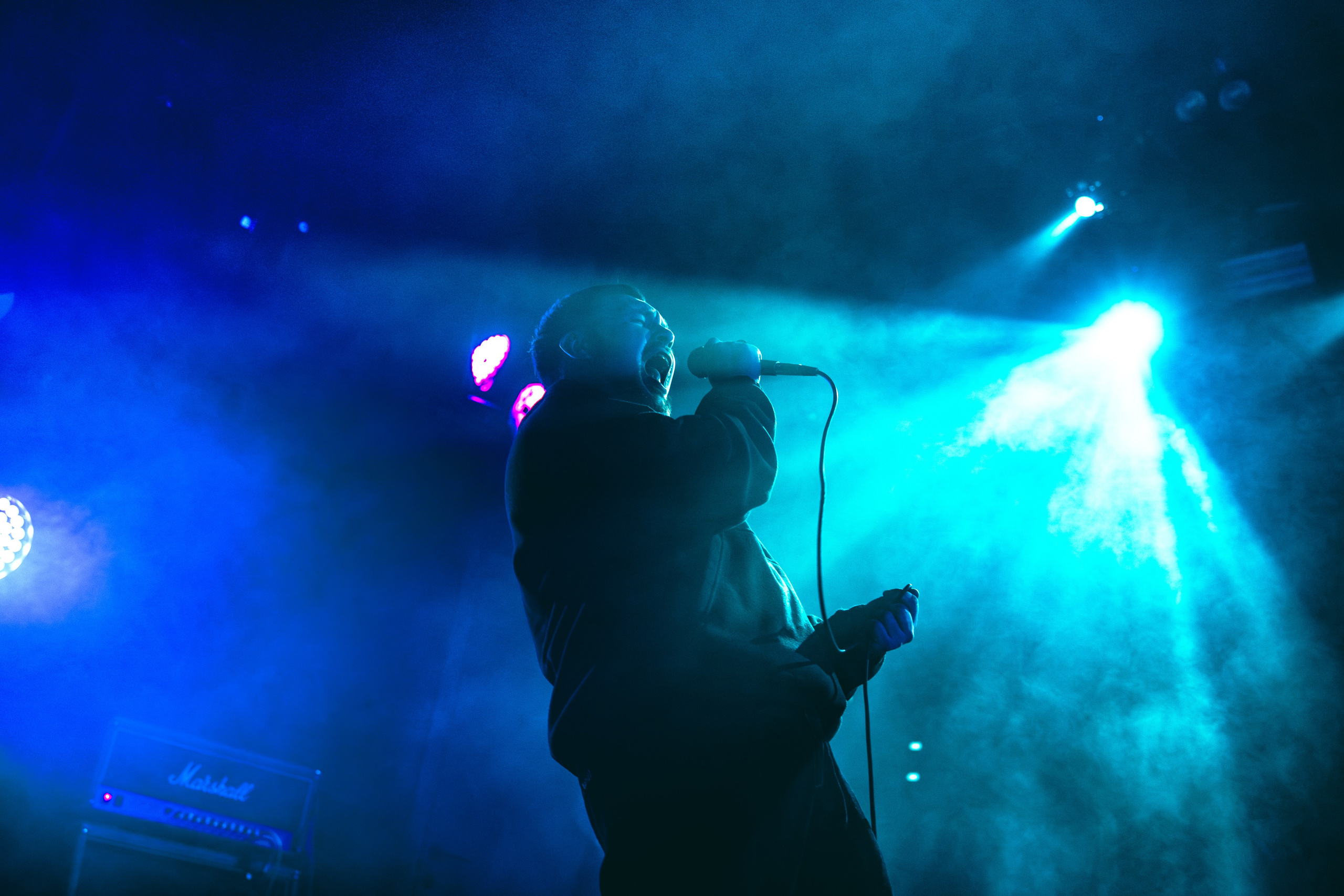 НДвТБ, Bird Bone 20.03.2026. Репортажный фотограф в Москве Legiodot