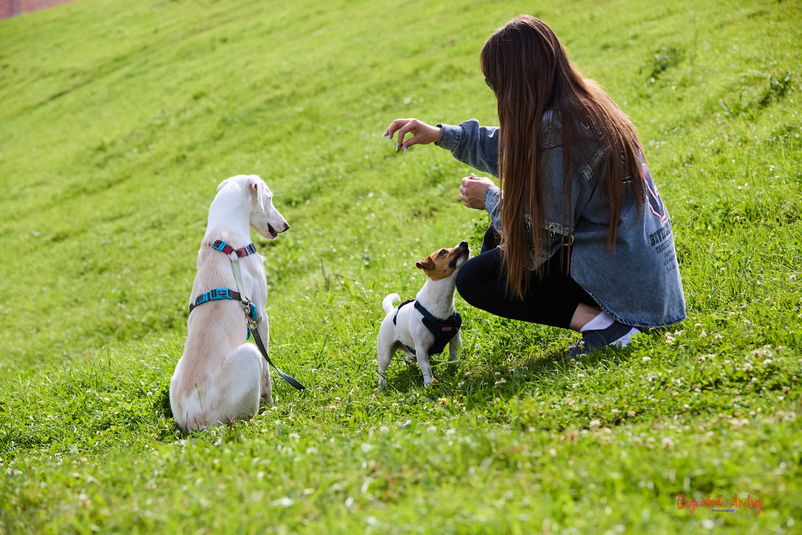 Проект фотопрогулка с хвостиком. Buyvolenko Andrey