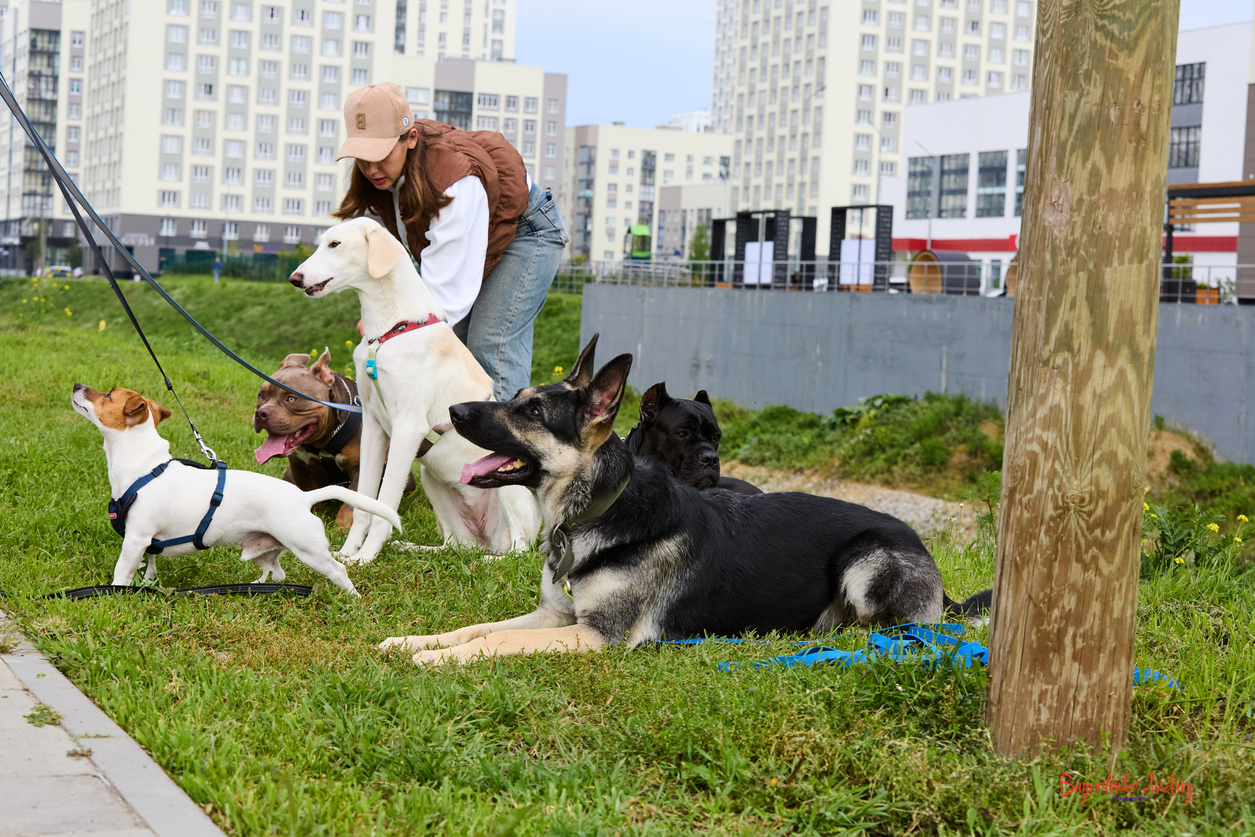 Проект фотопрогулка с хвостиком. Buyvolenko Andrey