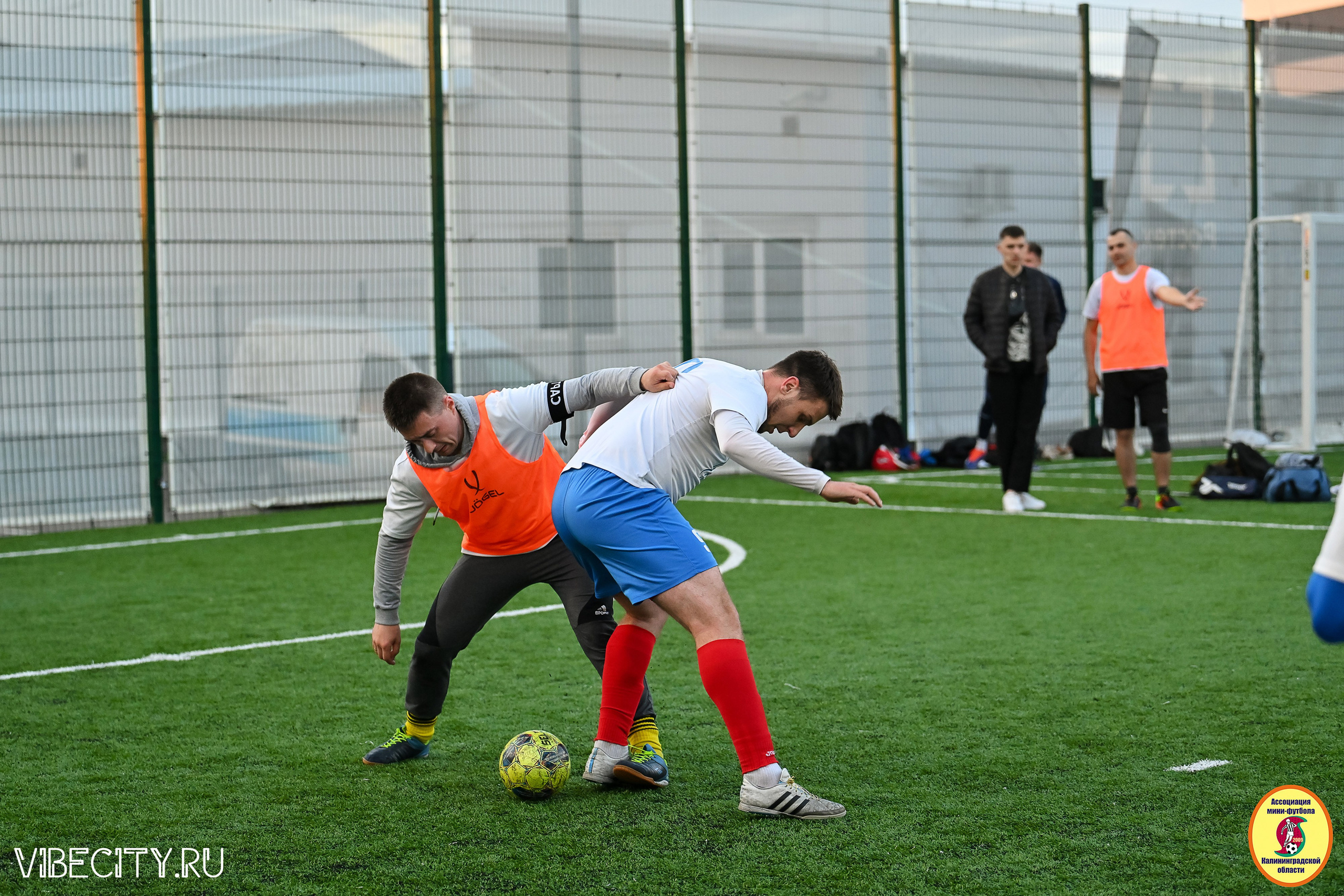 ИГРЫ МИНИ-ФУТБОЛЬНОЙ И КОРПОРАТИВНОЙ ЛИГИ. VIBECITY.RU Вайб Сити Ру Фоторепортажи Фотоотчеты Калининград