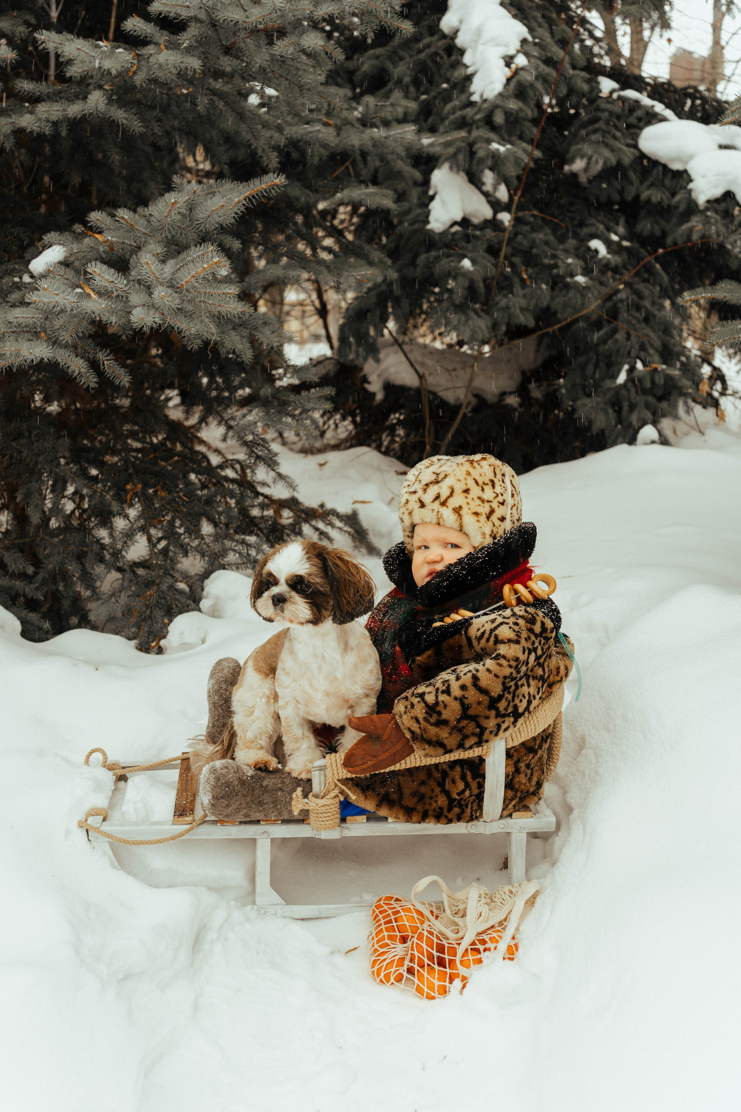 Фотопроект «Зимний лес». Семейный и детский фотограф новорожденных Ульяновск
