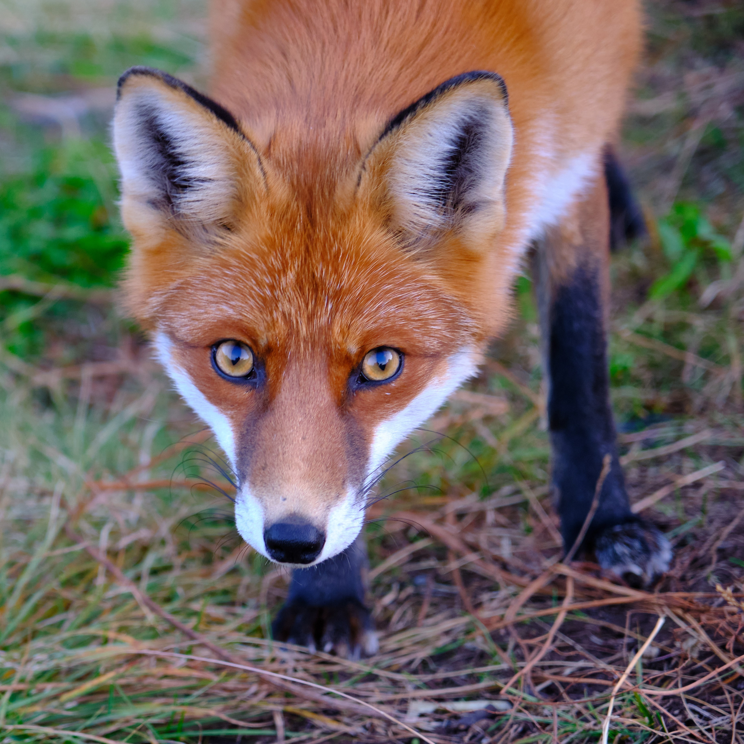 Баренцево море. Пейзажи Крайнего Севера. Баренцево море, Рыбачий, Средний, Немецкий