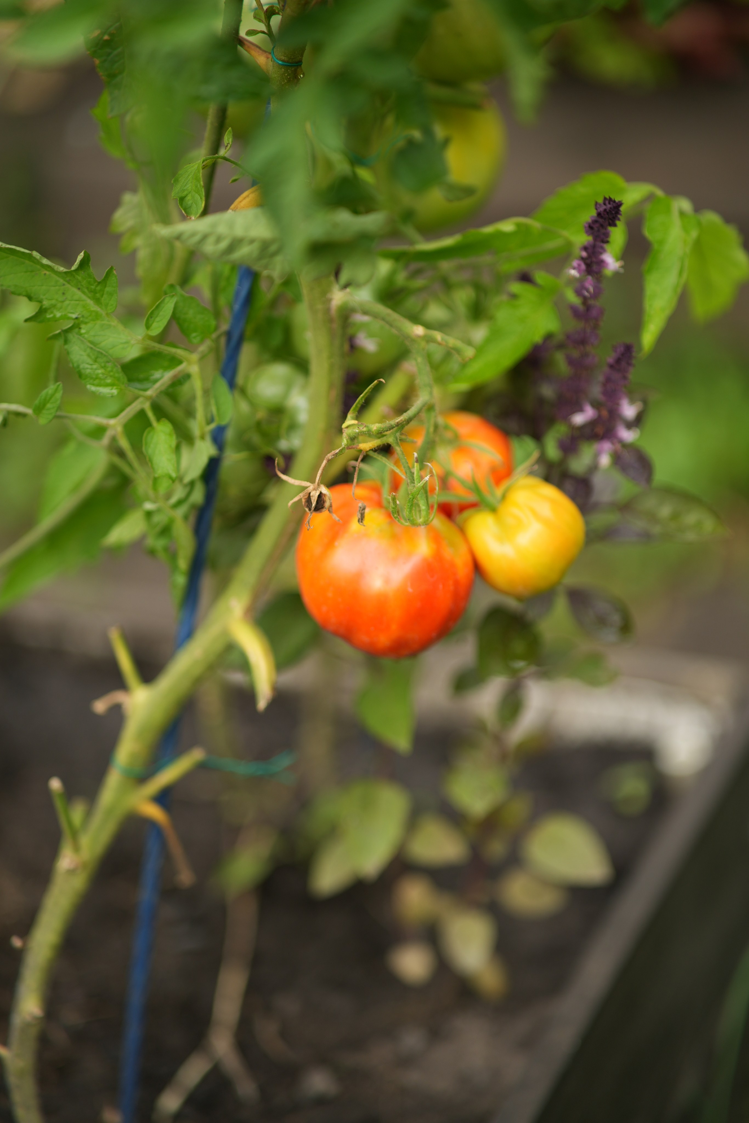 Час 1500 пример фотосессии пакет «ФОТО НА ПАМЯТЬ» (без обработки). Фотограф Нижний Новгород Татьяна Кэйод