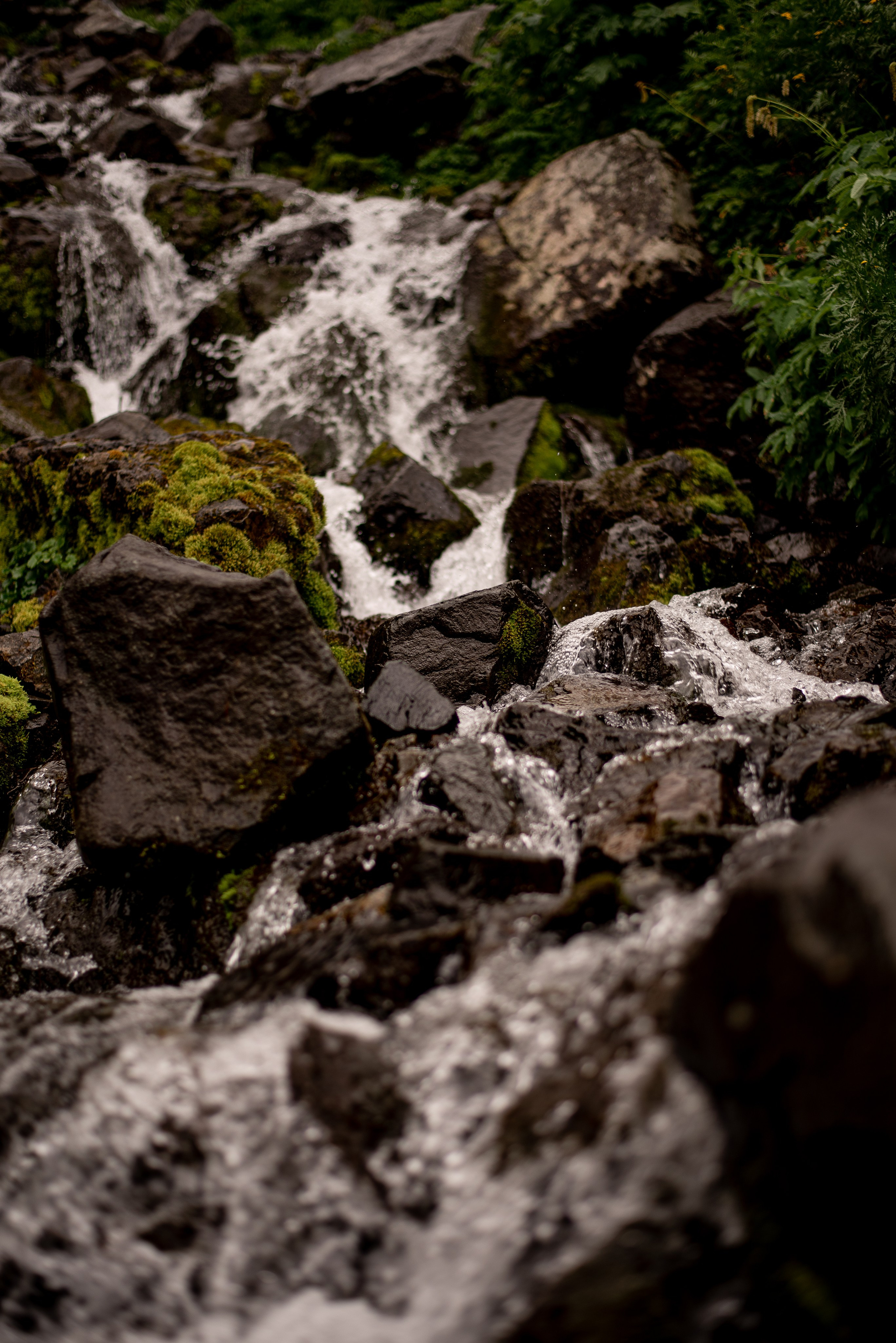 Ивановские озера. Приподаева Алёна семейный и детский фотограф в Красноярске