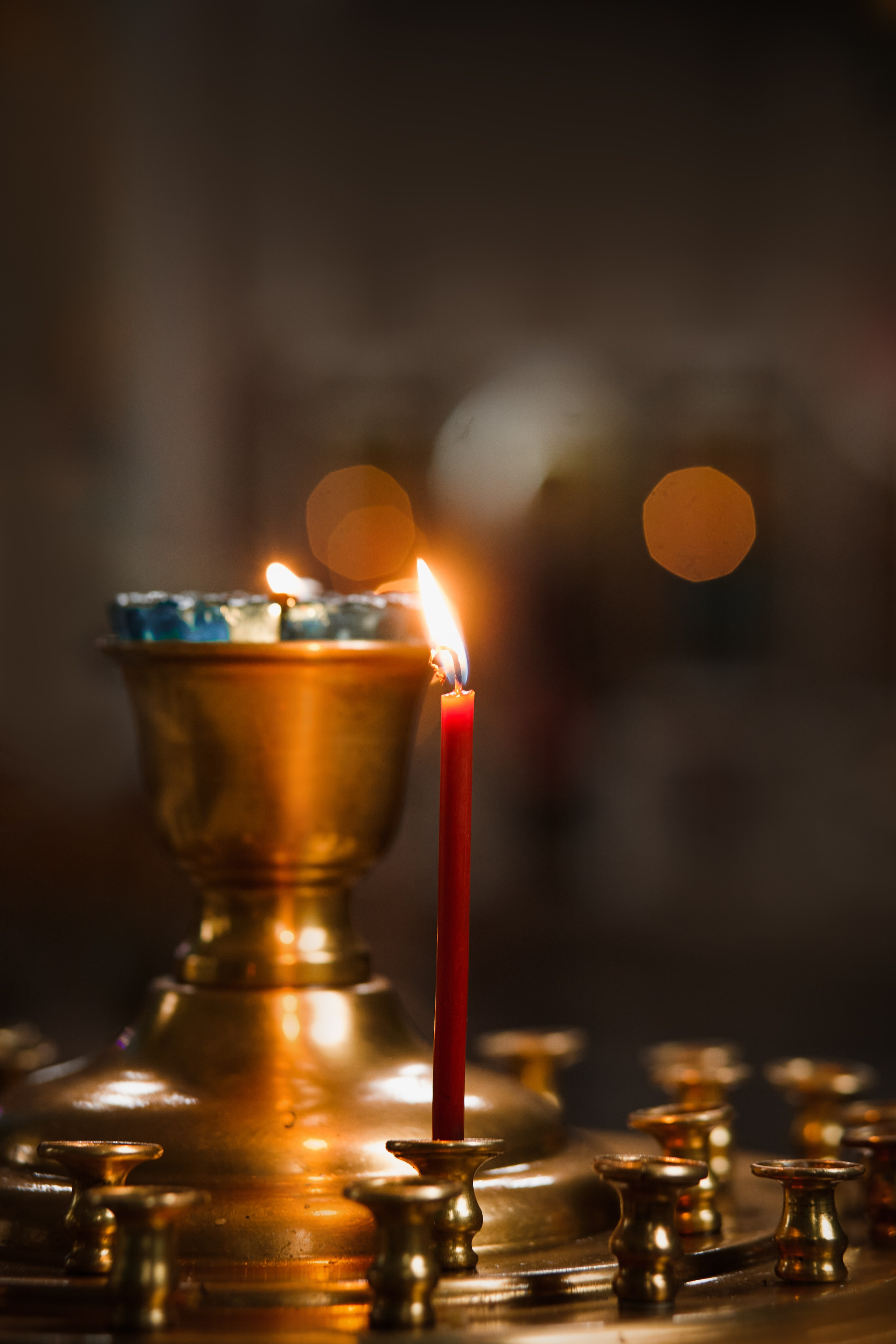 Крещение. Фотограф анималист в Москве Майорова Евгения