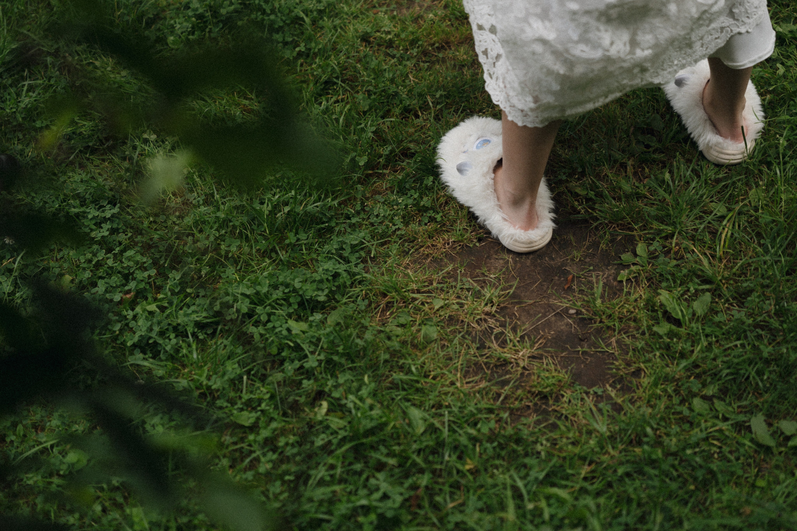 Forest Symphony. Фотограф в Санкт-Петербурге Александр Дымов