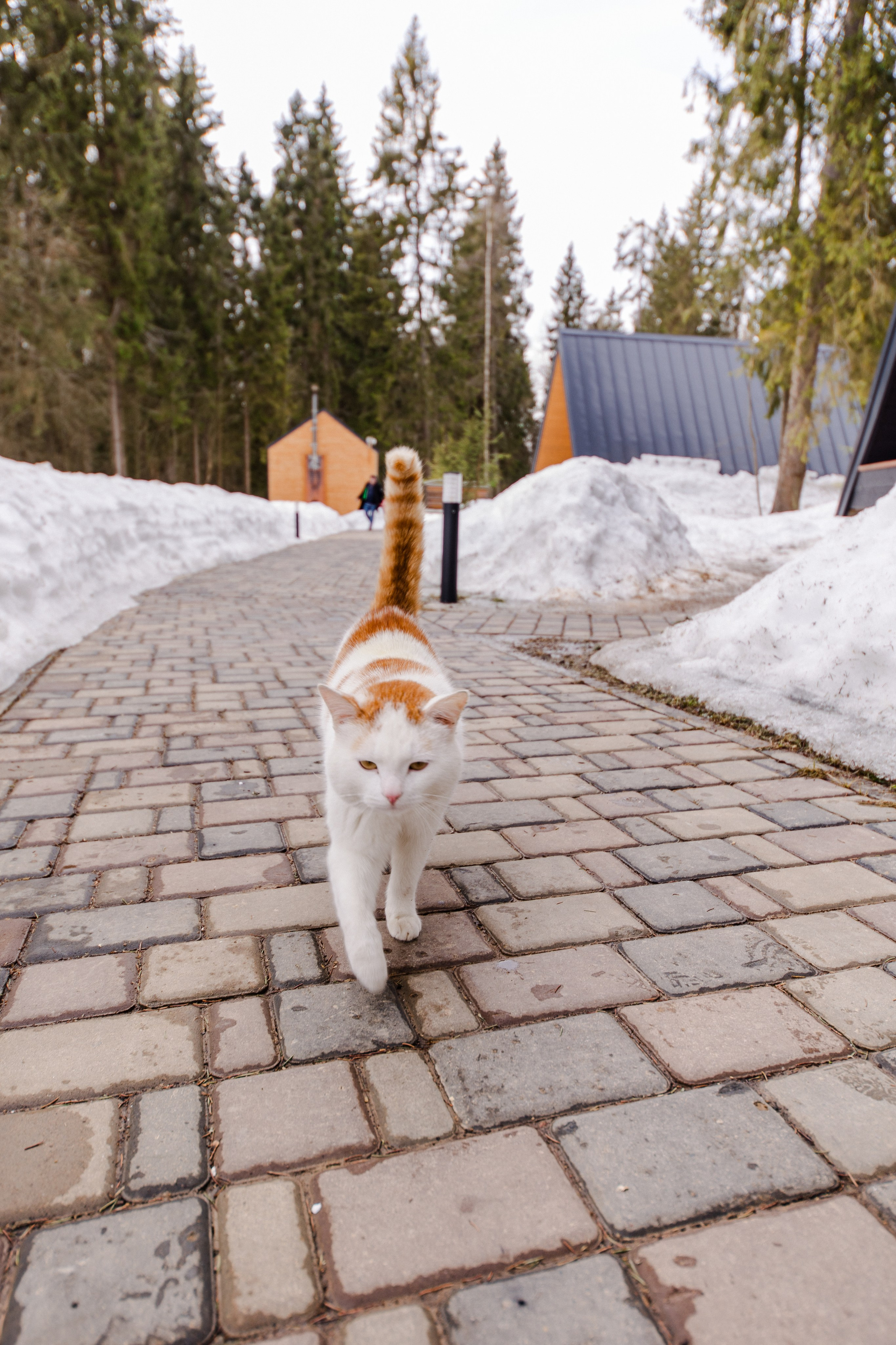 Глемпинг Дивный бор. Семейный и детский фотограф в Москве Кузьмина Мария