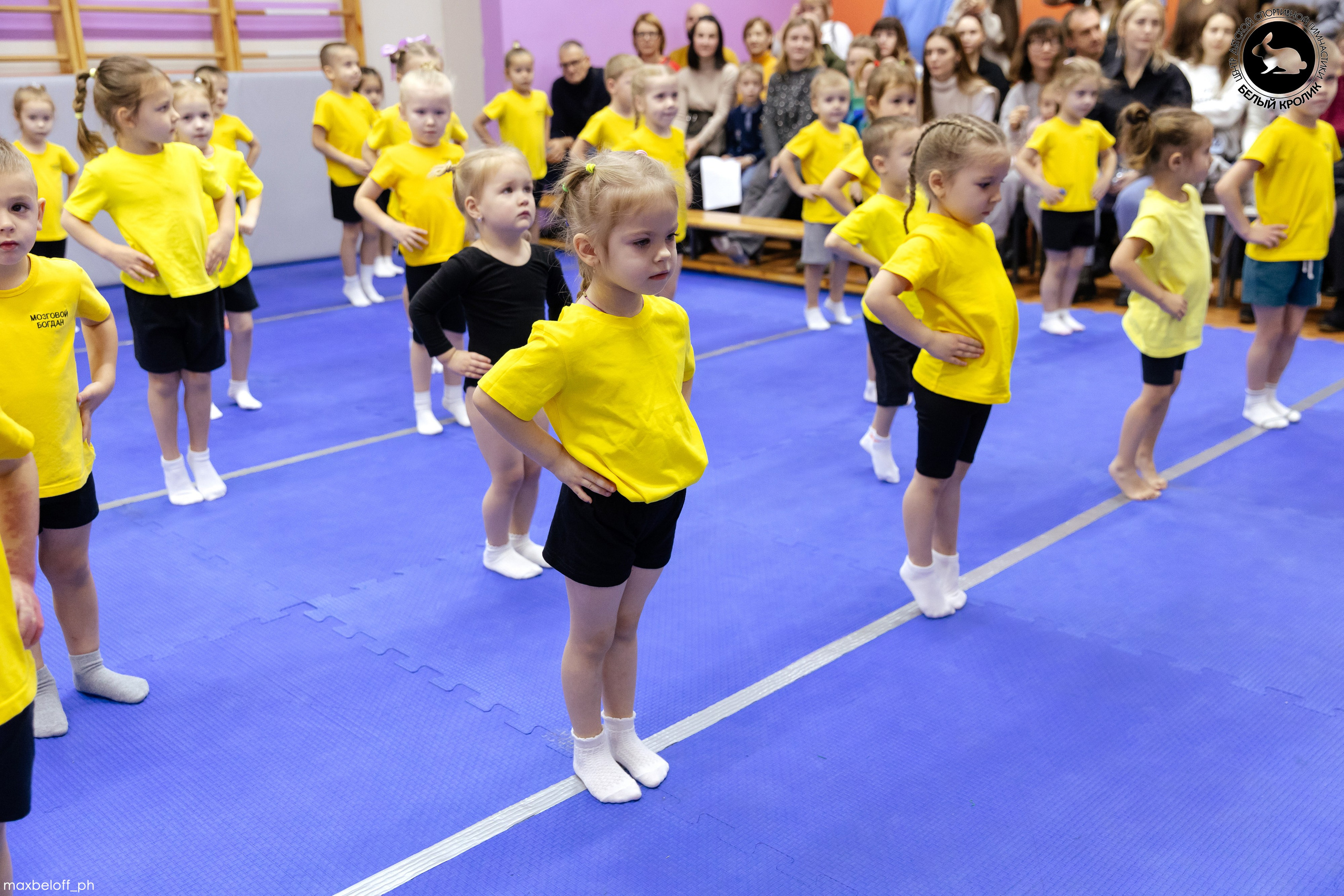 Белый кролик. Соревнования. Семейный фотограф — Макс Белогрудов