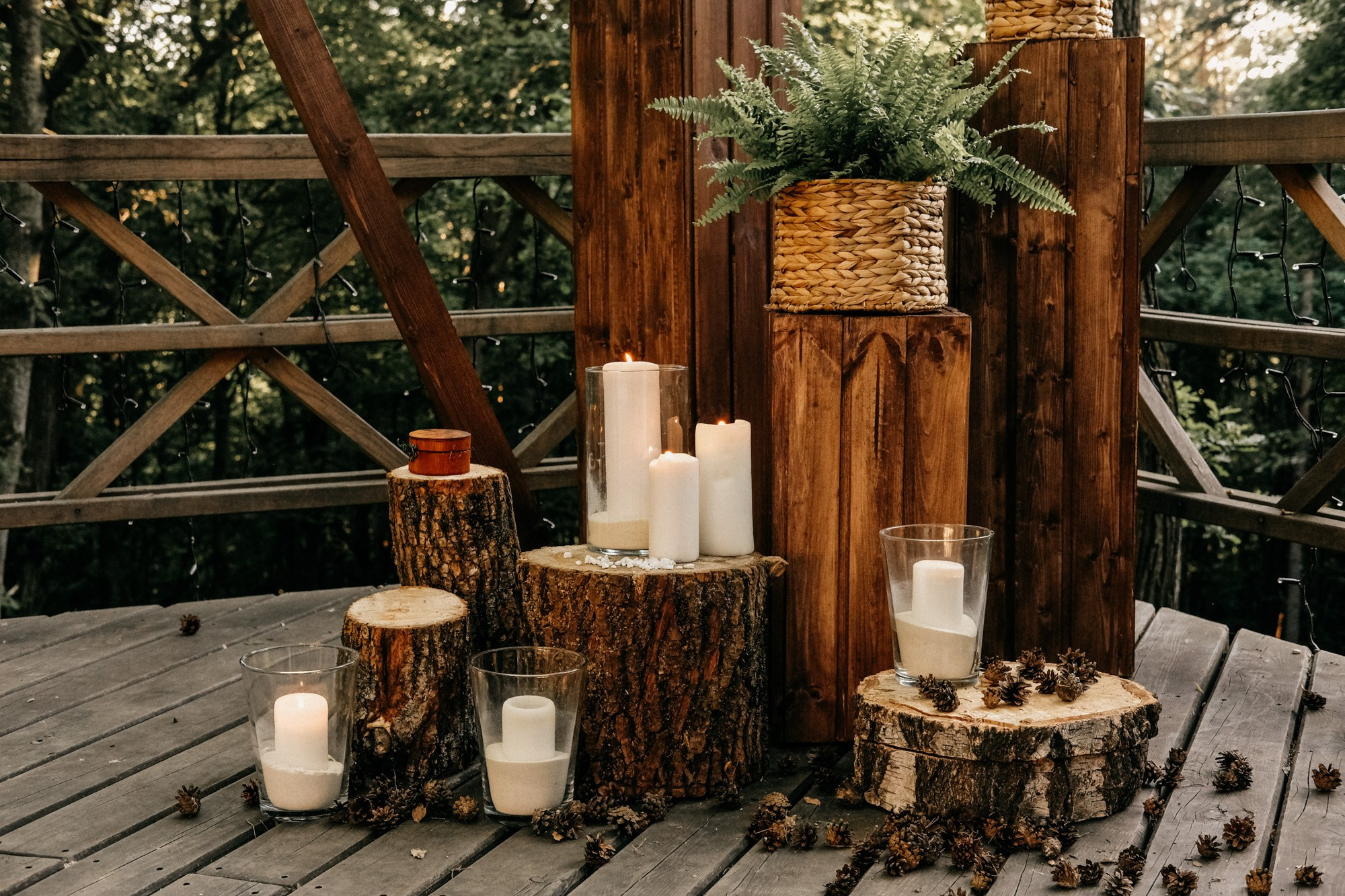 Настя и Максим (Welna). Свадебный фотограф Александра Тюлякова