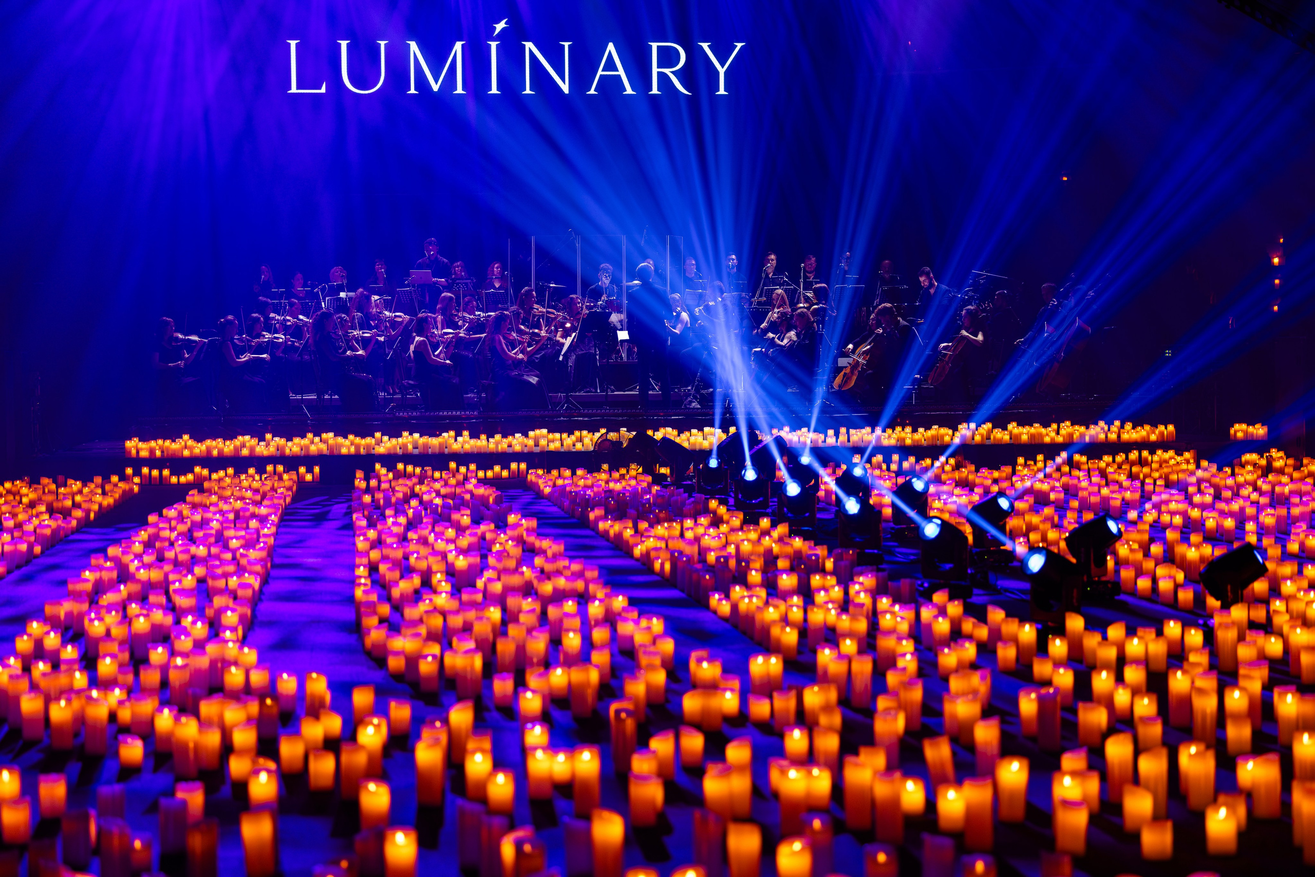 Luminary Баскет-Холл. Руслан Плахтеев