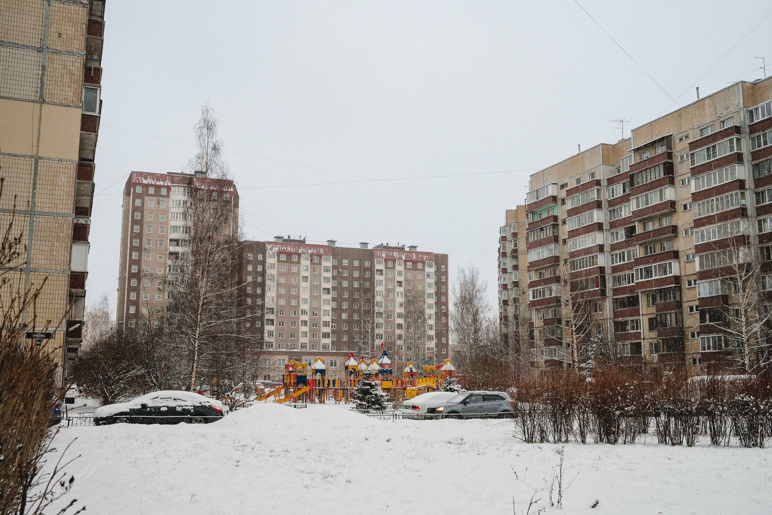 2023.01. Фотограф Алексей Алексеев