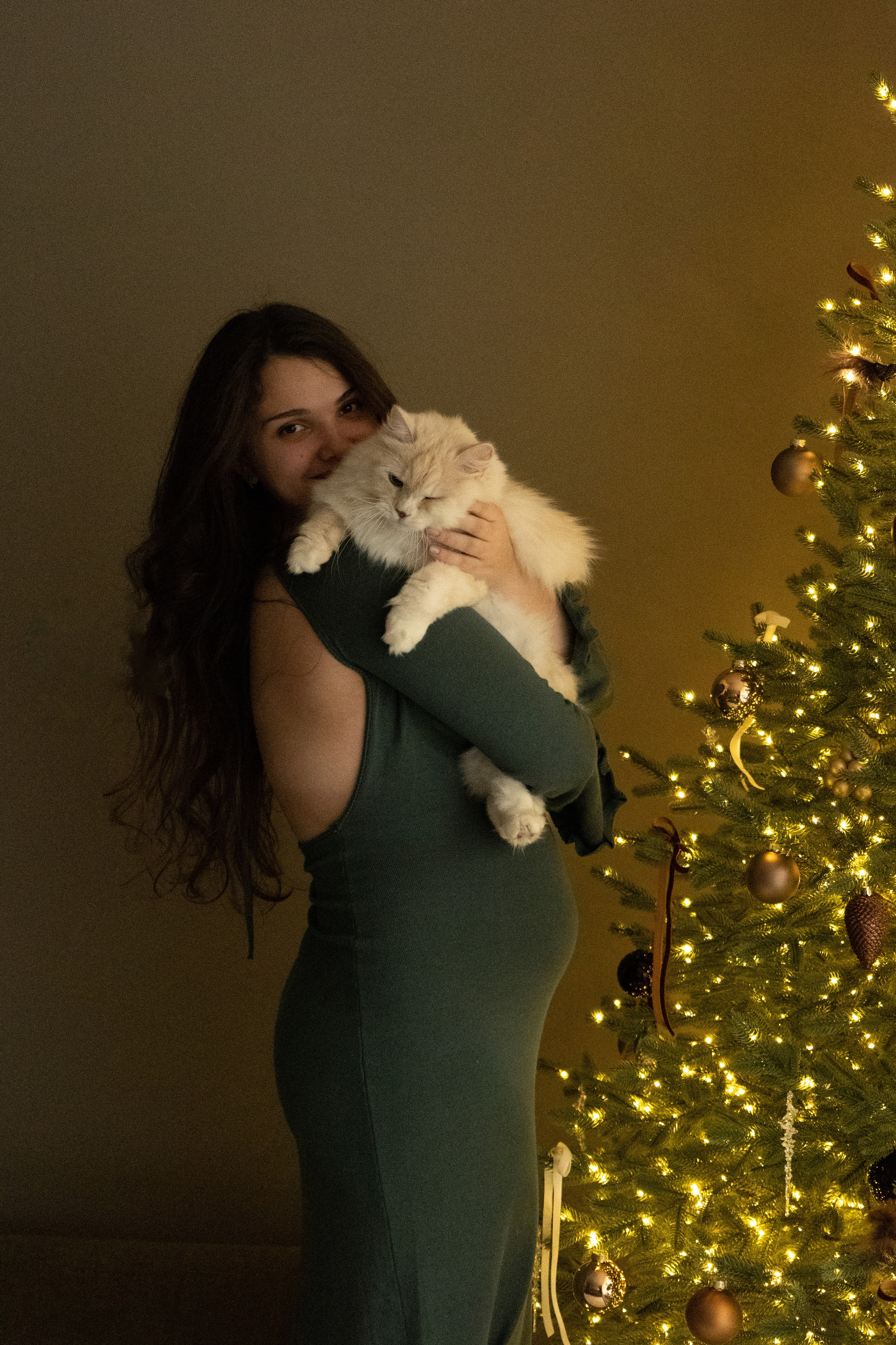 Домашняя новогодняя фотосесиия беременности. Фотограф видеограф Ольга Василевская