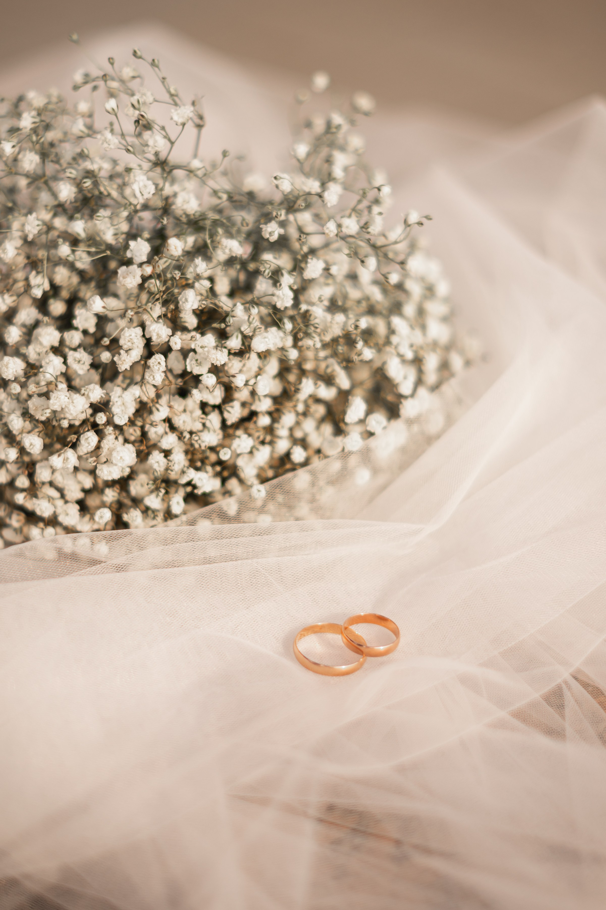 Елена и Михаил. Фомина Елена Свадебный и семейный фотограф