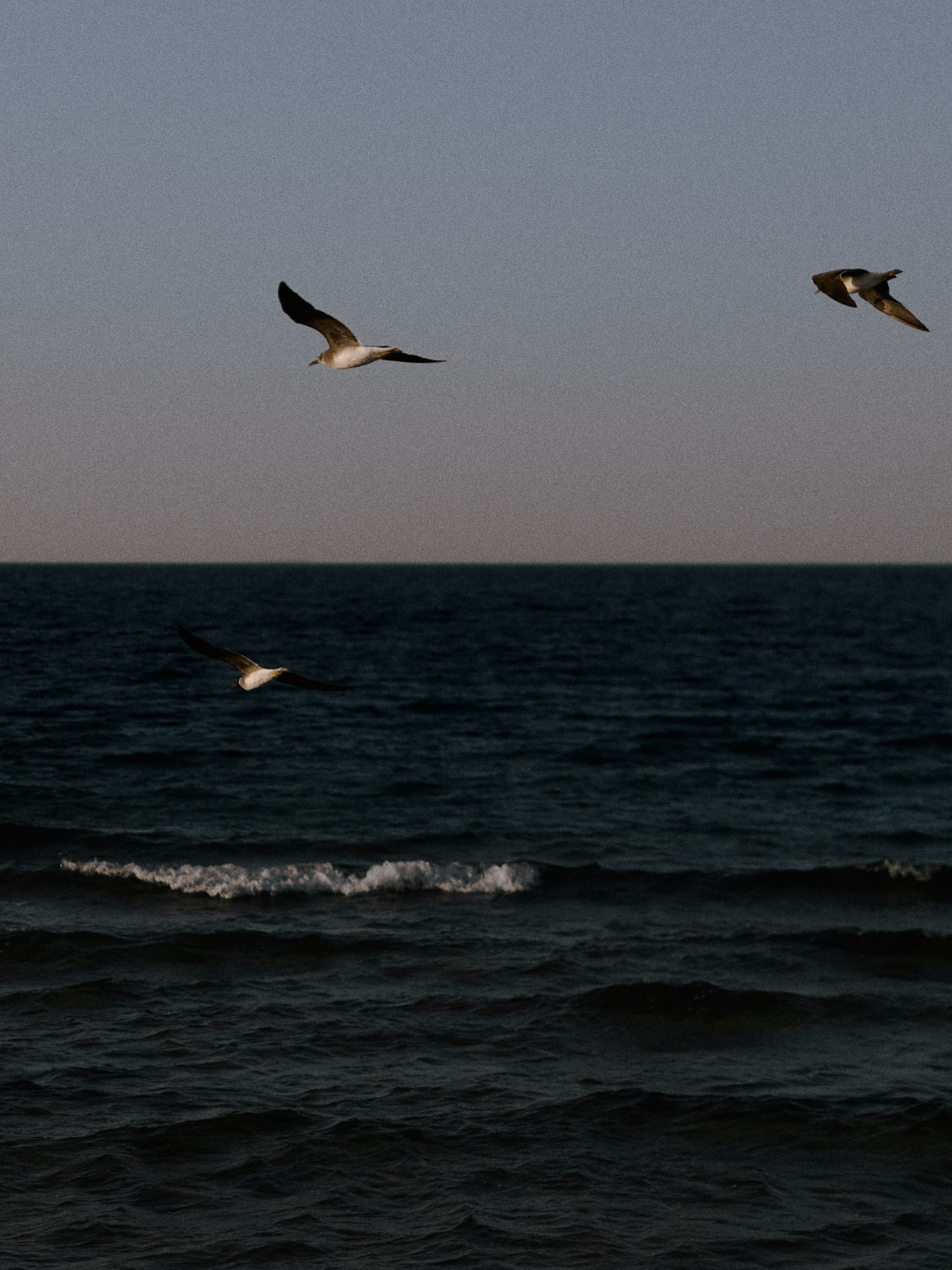 Природа. Jorgis Talè — photographer, kind person, teacher of arts and other mag