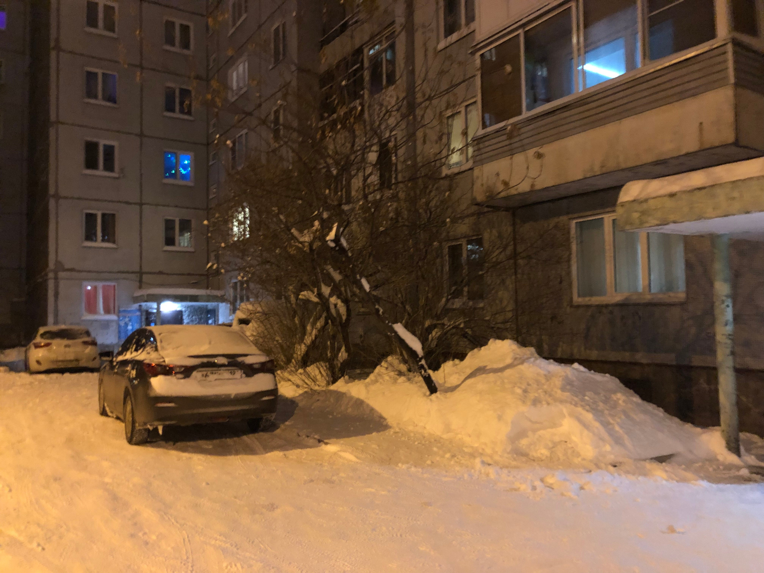 Декабрь. Семейный, Свадебный фотограф СПБ Питер— Романова Екатерина