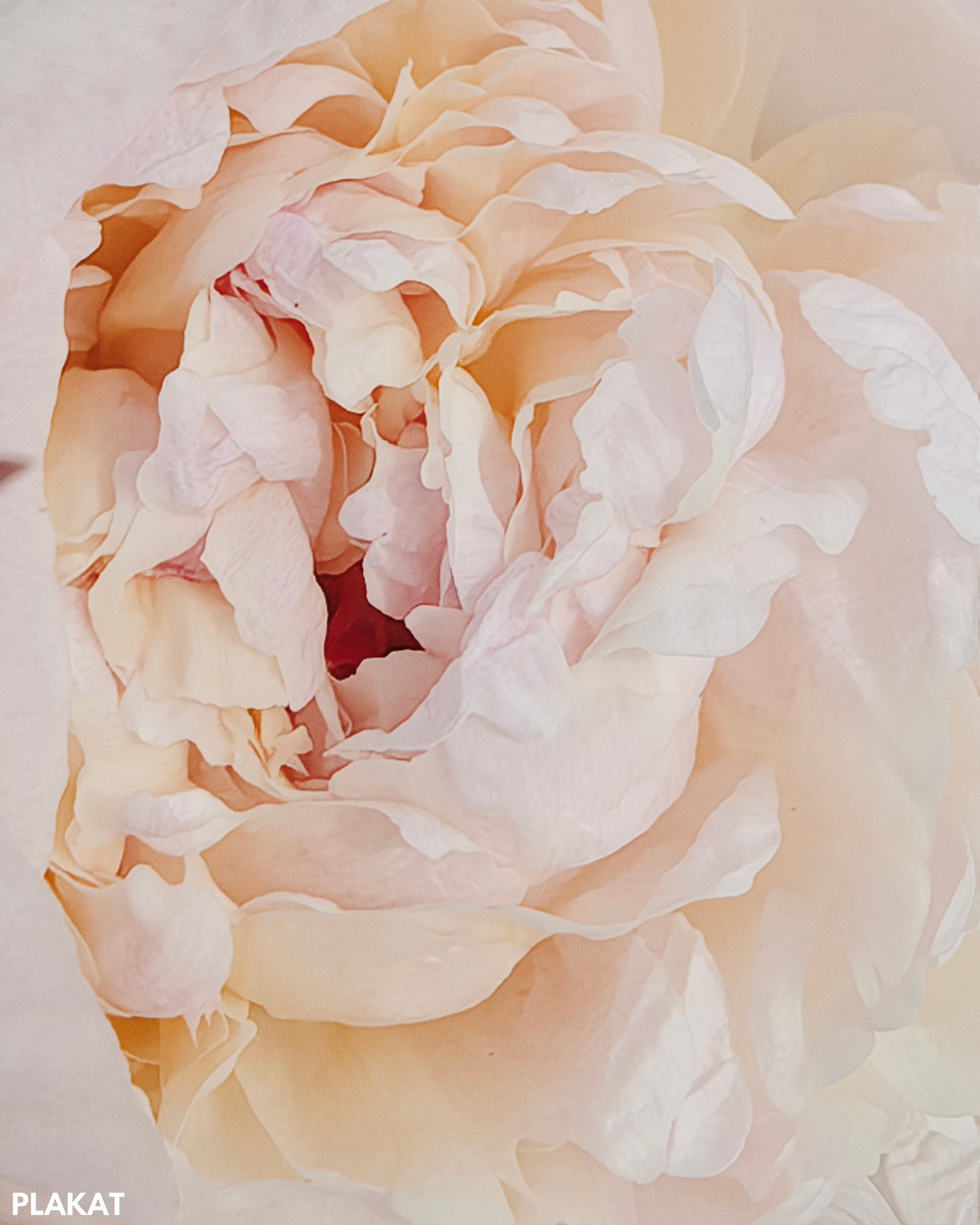 @natallii_zhukovskaya